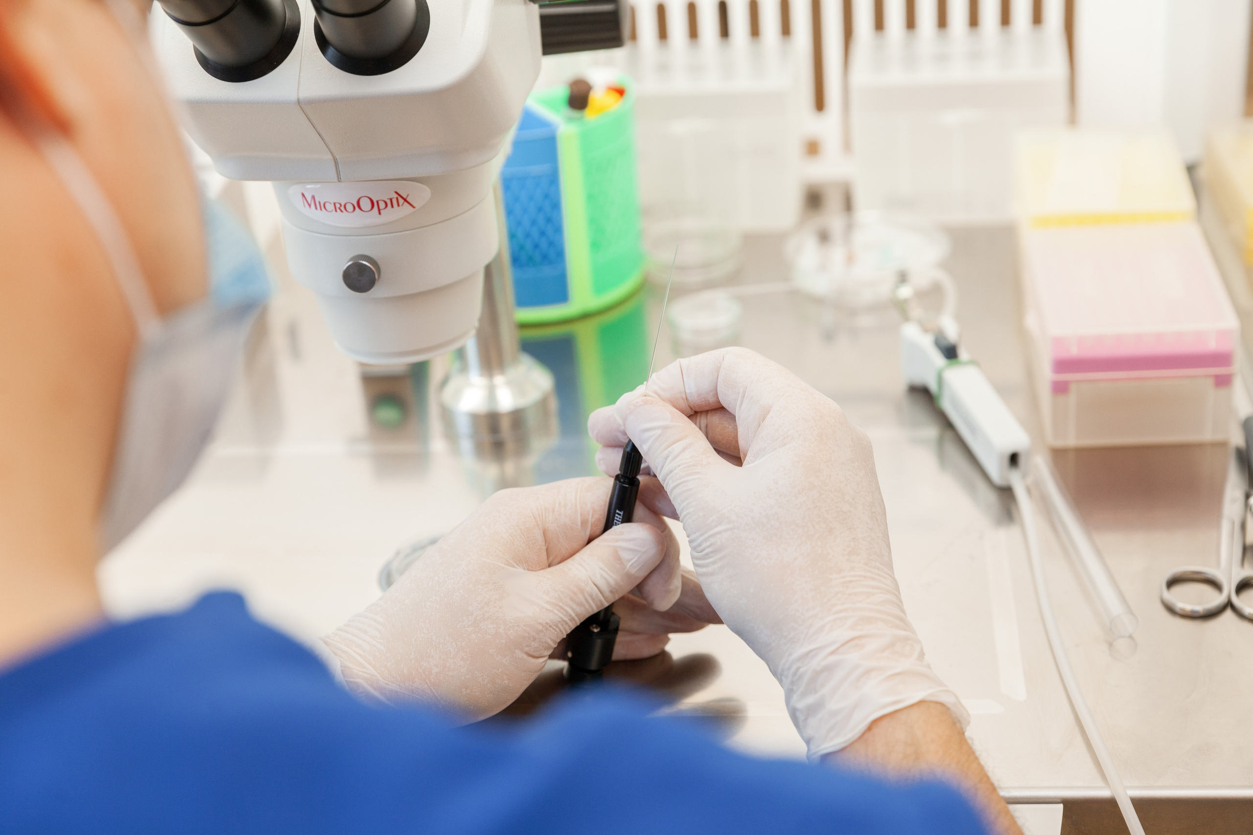 Медицина | Современные клиники. Χελιδόνι Семейный и церковный фотограф в Крыму и Симферополе Валерия Г