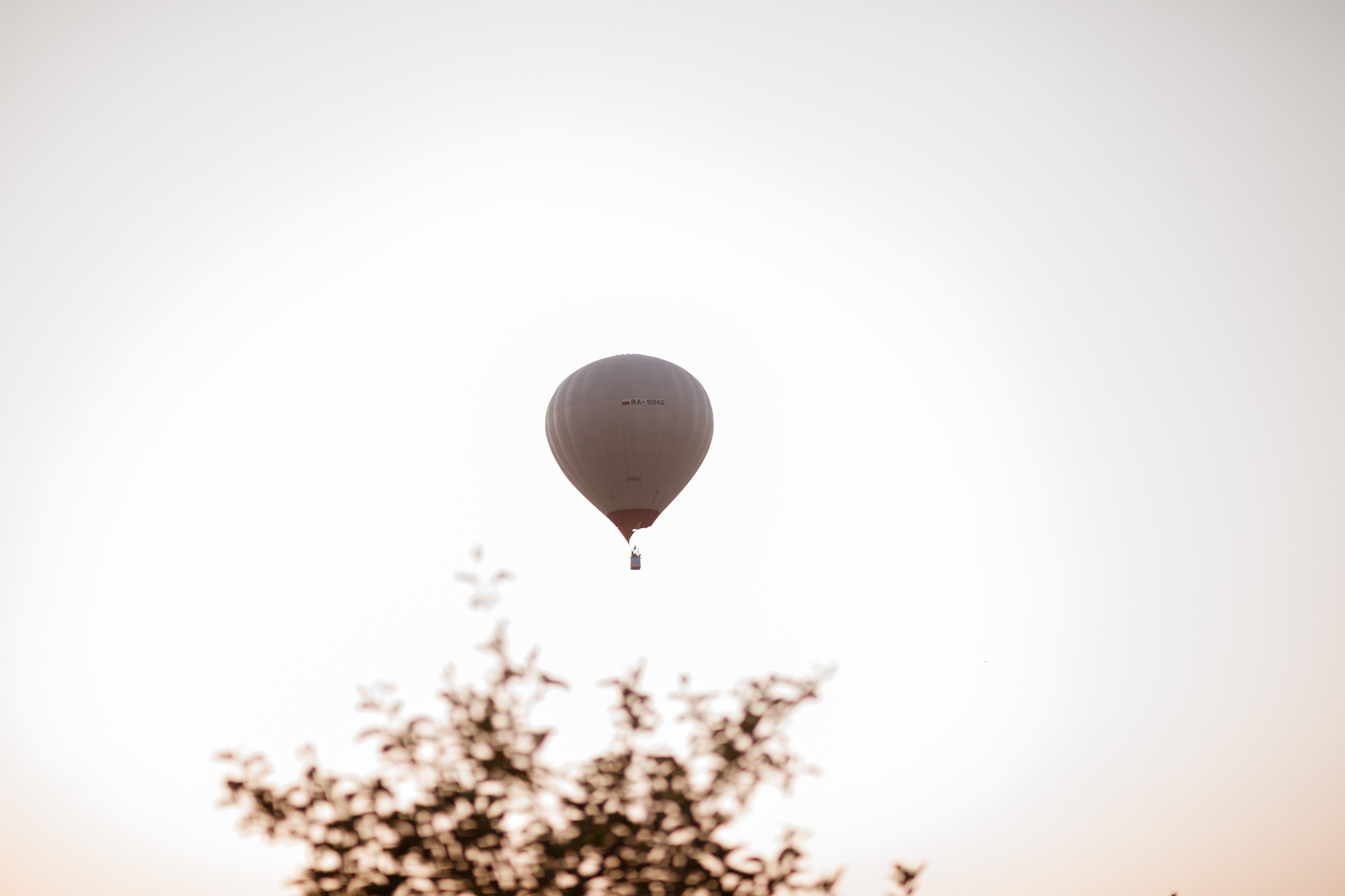Александра | Белая скала. Χελιδόνι Семейный и церковный фотограф в Крыму и Симферополе Валерия Г