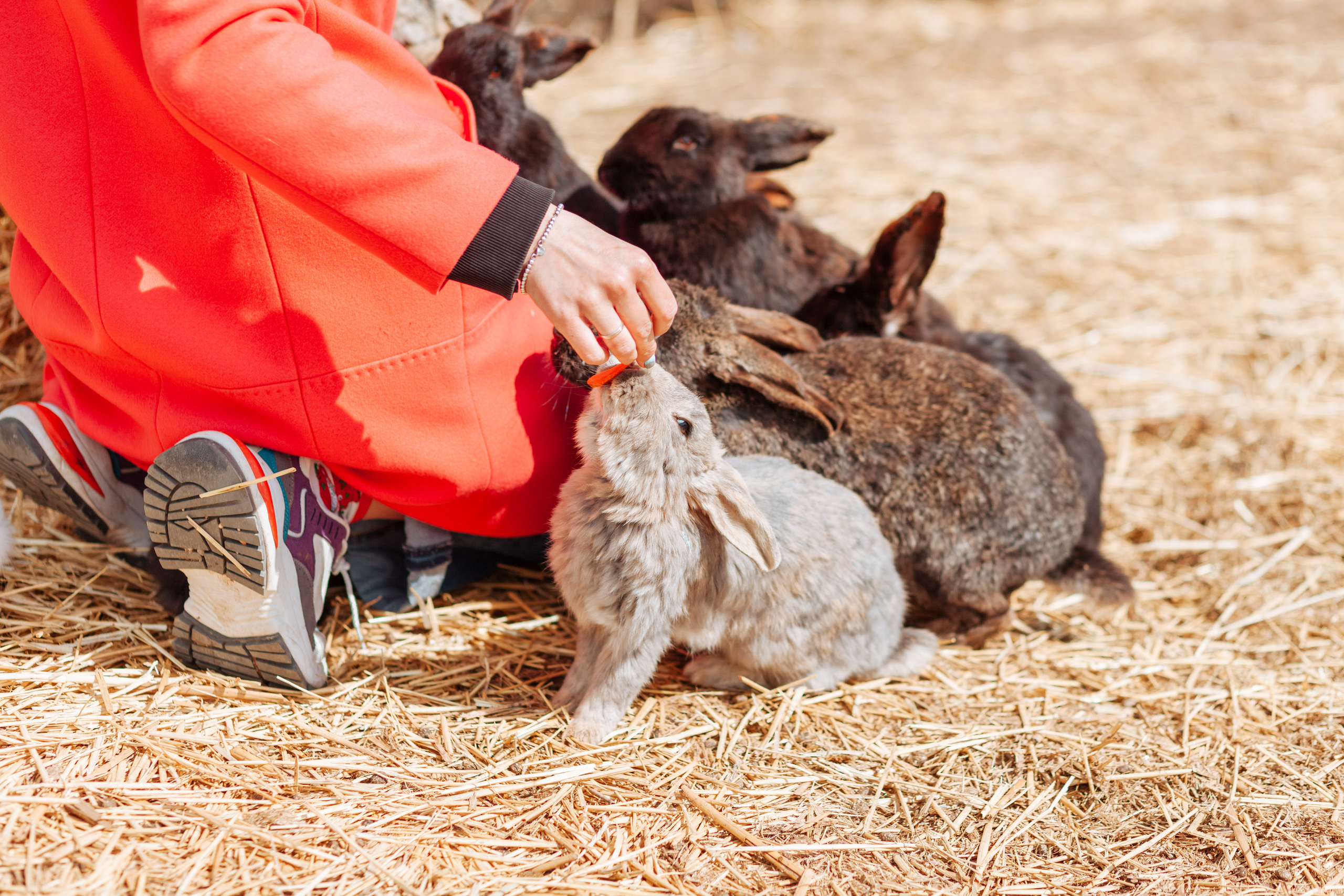 В деревне =). Χελιδόνι Семейный и церковный фотограф в Крыму и Симферополе Валерия Г