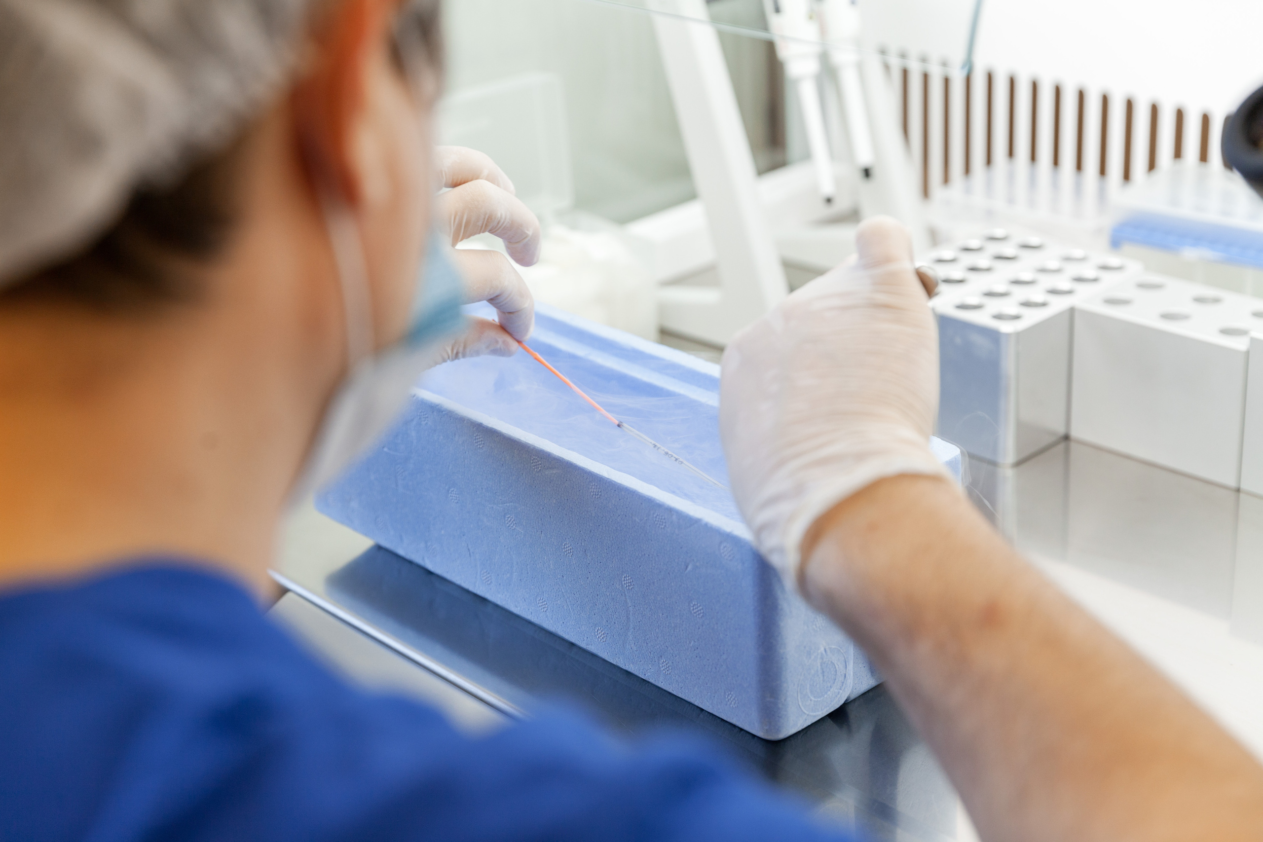 Медицина | Современные клиники. Χελιδόνι Семейный и церковный фотограф в Крыму и Симферополе Валерия Г