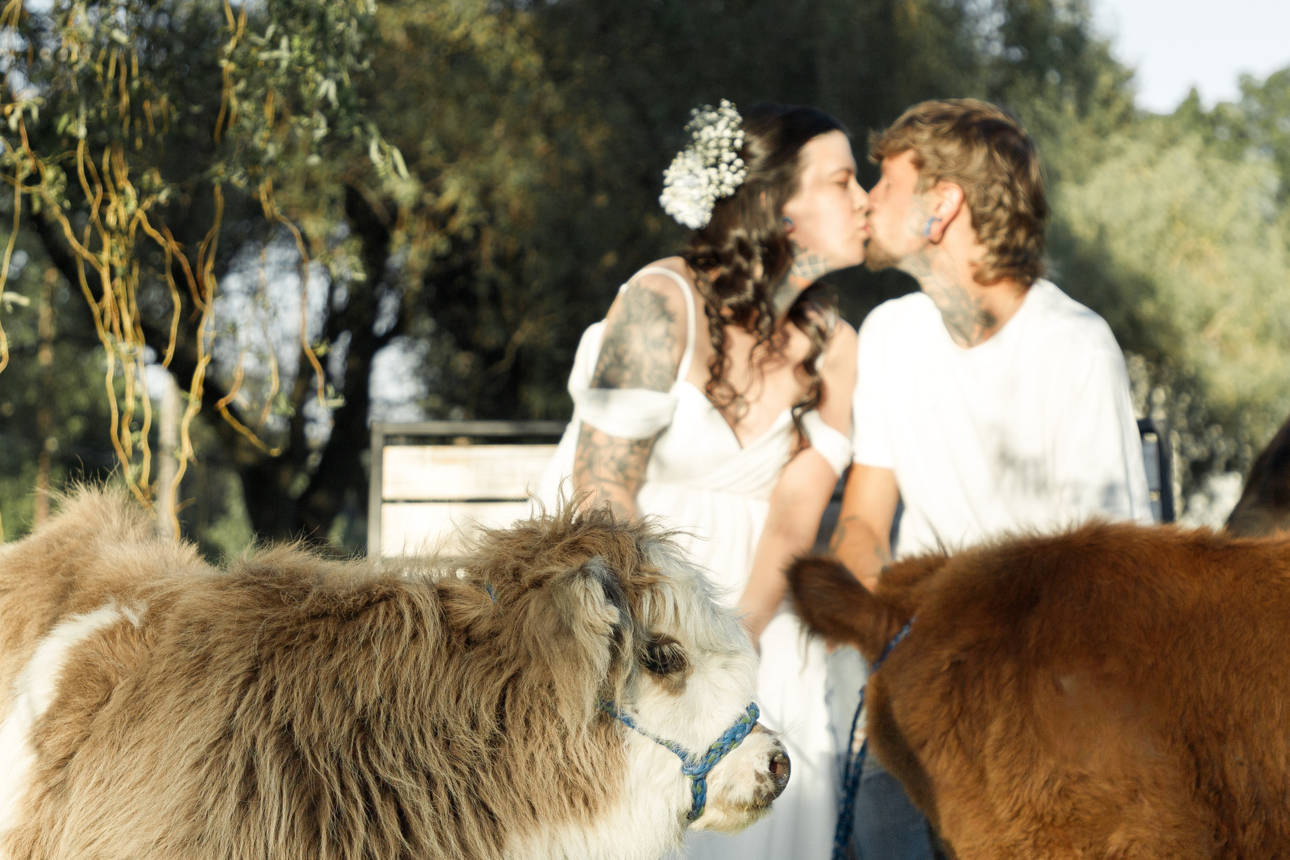 Maternity. Family photographer in Eastern Pennsylvania, Inna Nairn