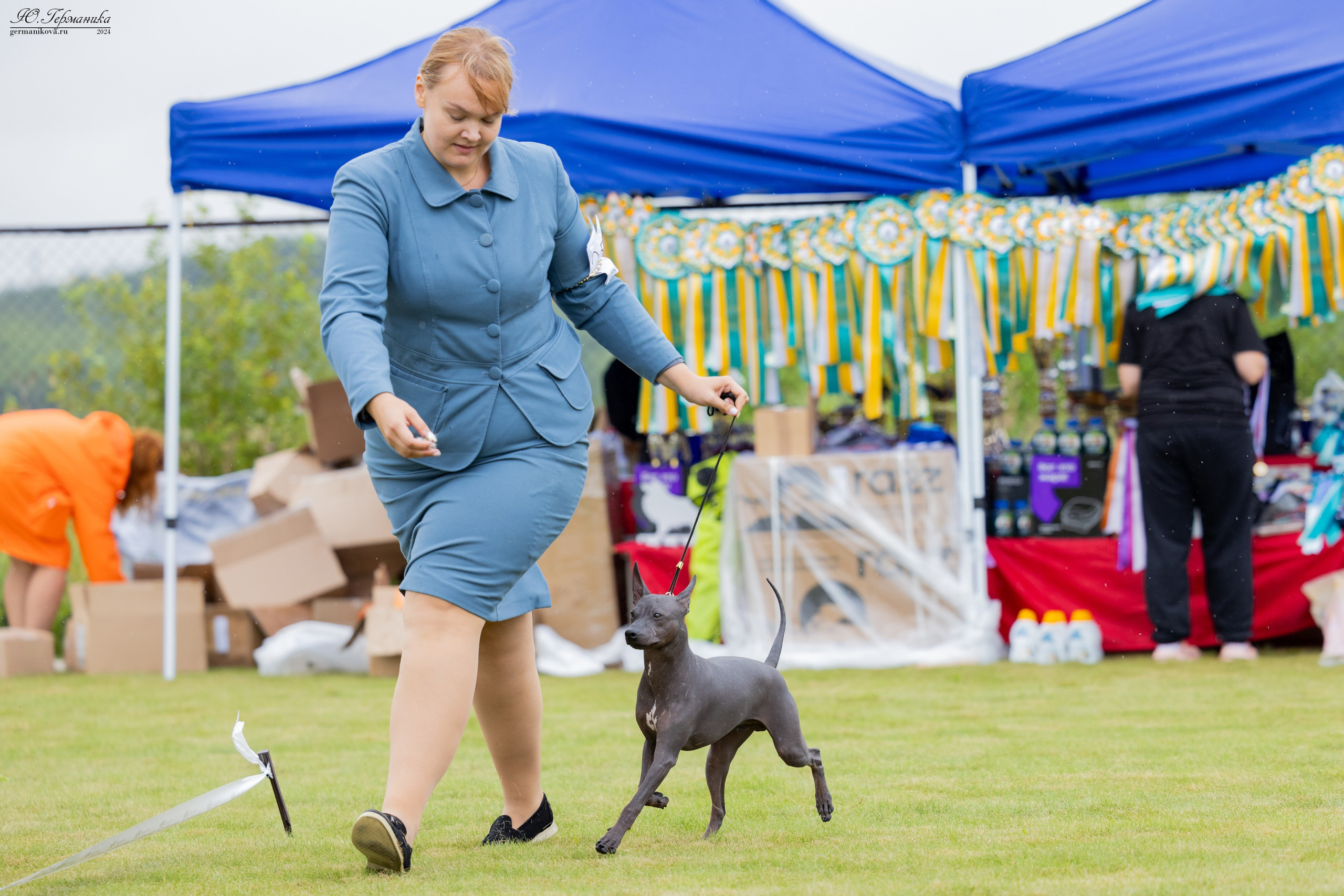 Ярославль 21.07.24 и Балашиха 13.07.24. Фотограф-анималист Юлия Германика