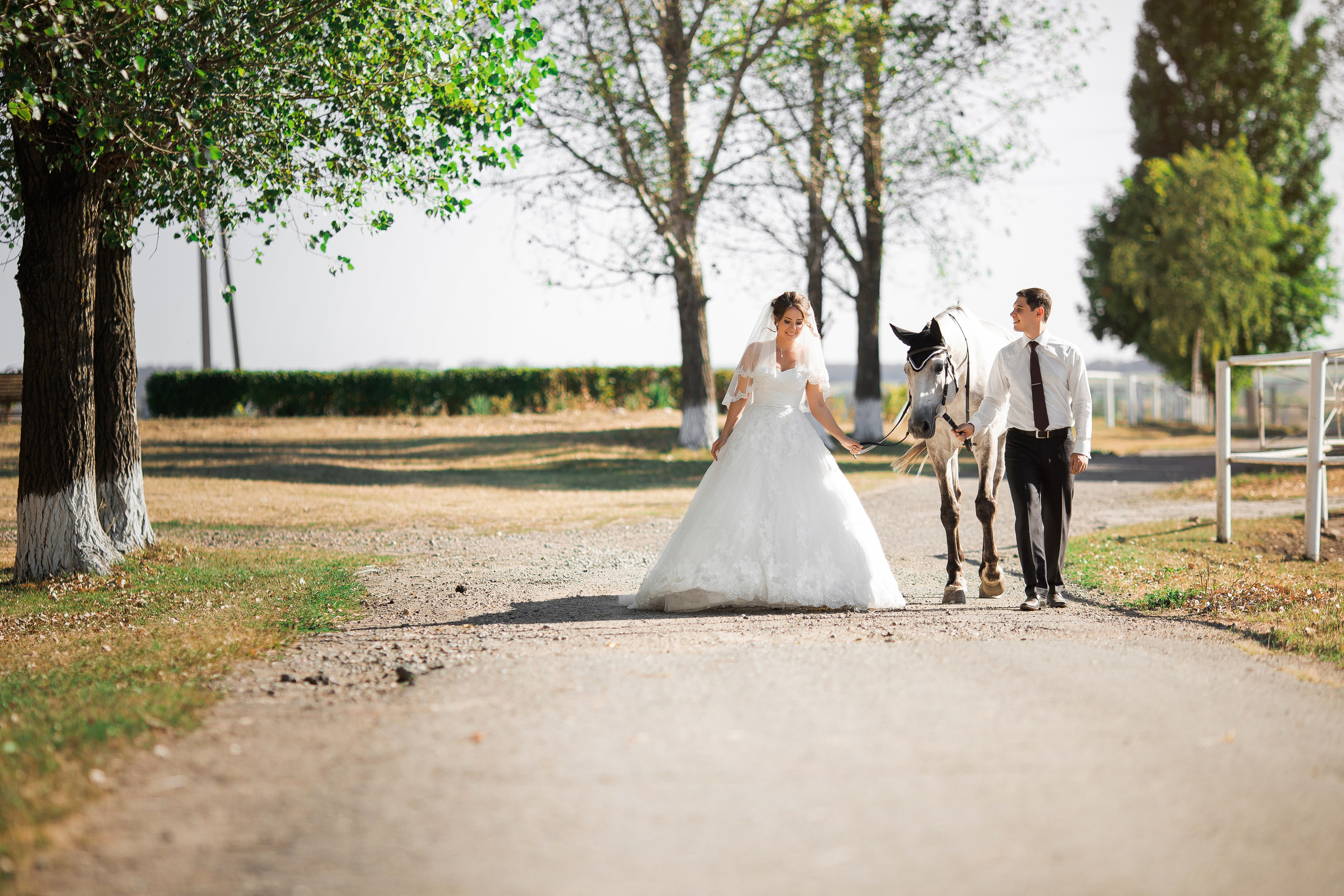 Игорь Тихонов. Фотограф Игорь Тихонов