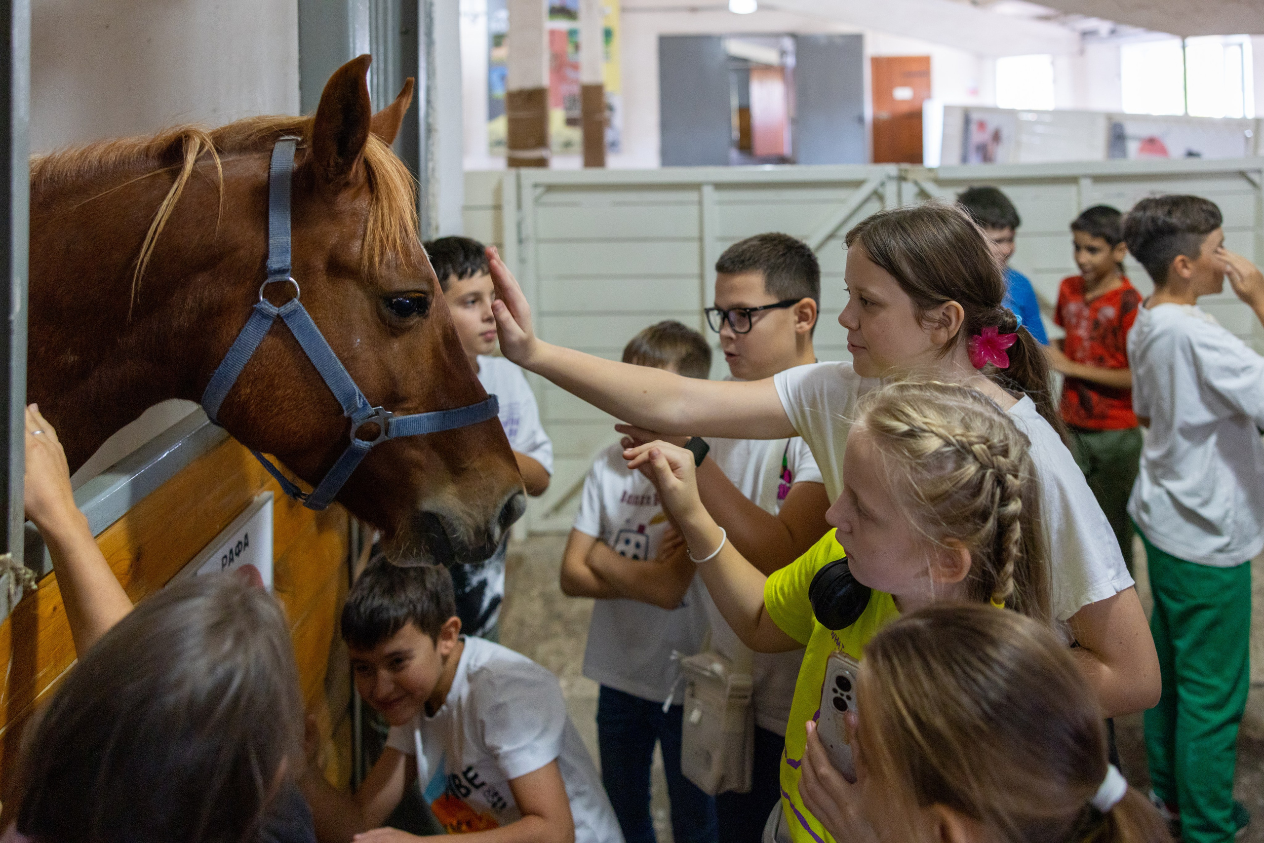 Поездка на поле Кулеково. Фотограф в Туле Крупский АнДРей. Фотостудия «КАДР71» в Туле