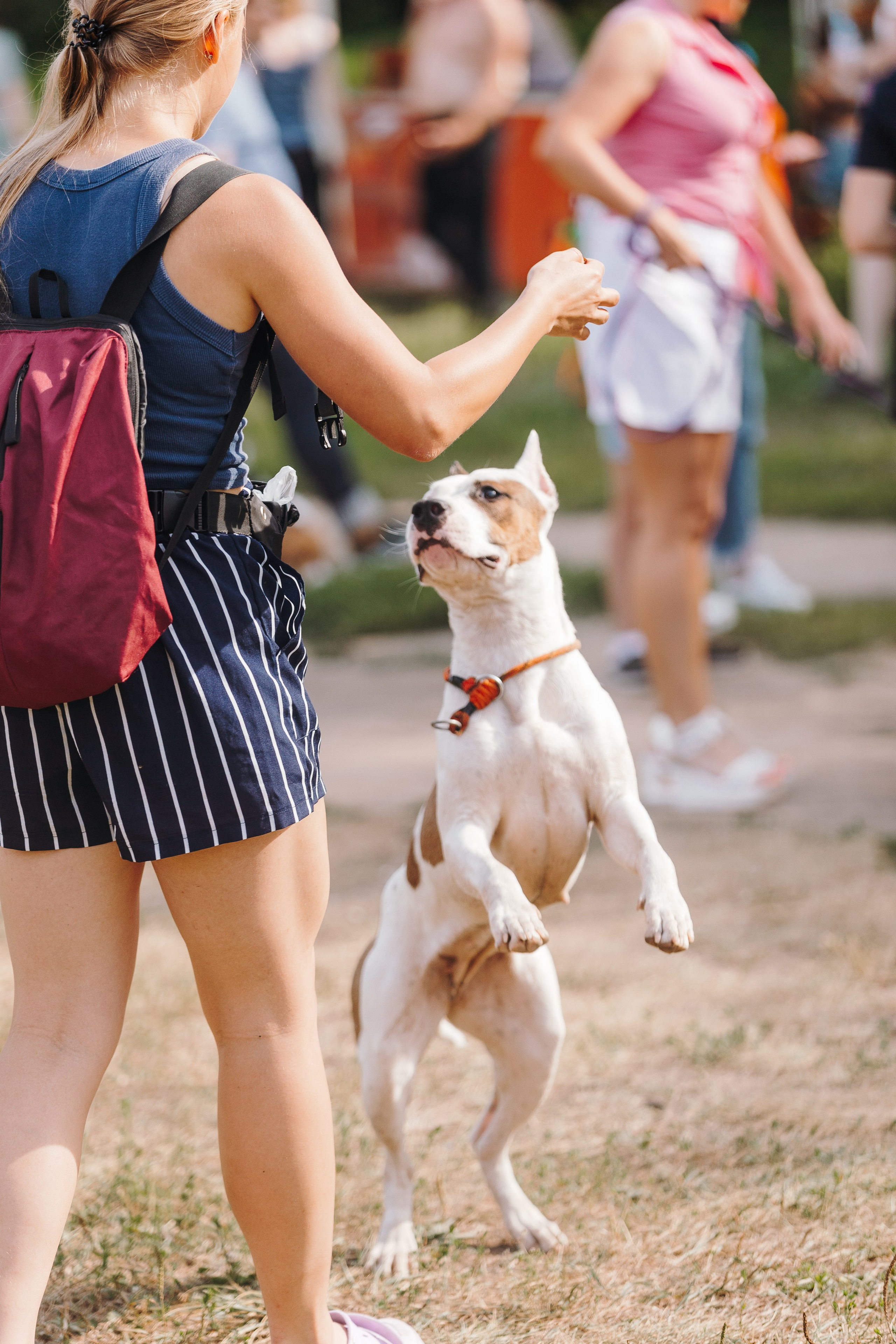 Petshop Sup day. Фотограф анималист Кристина Карпова, Москва