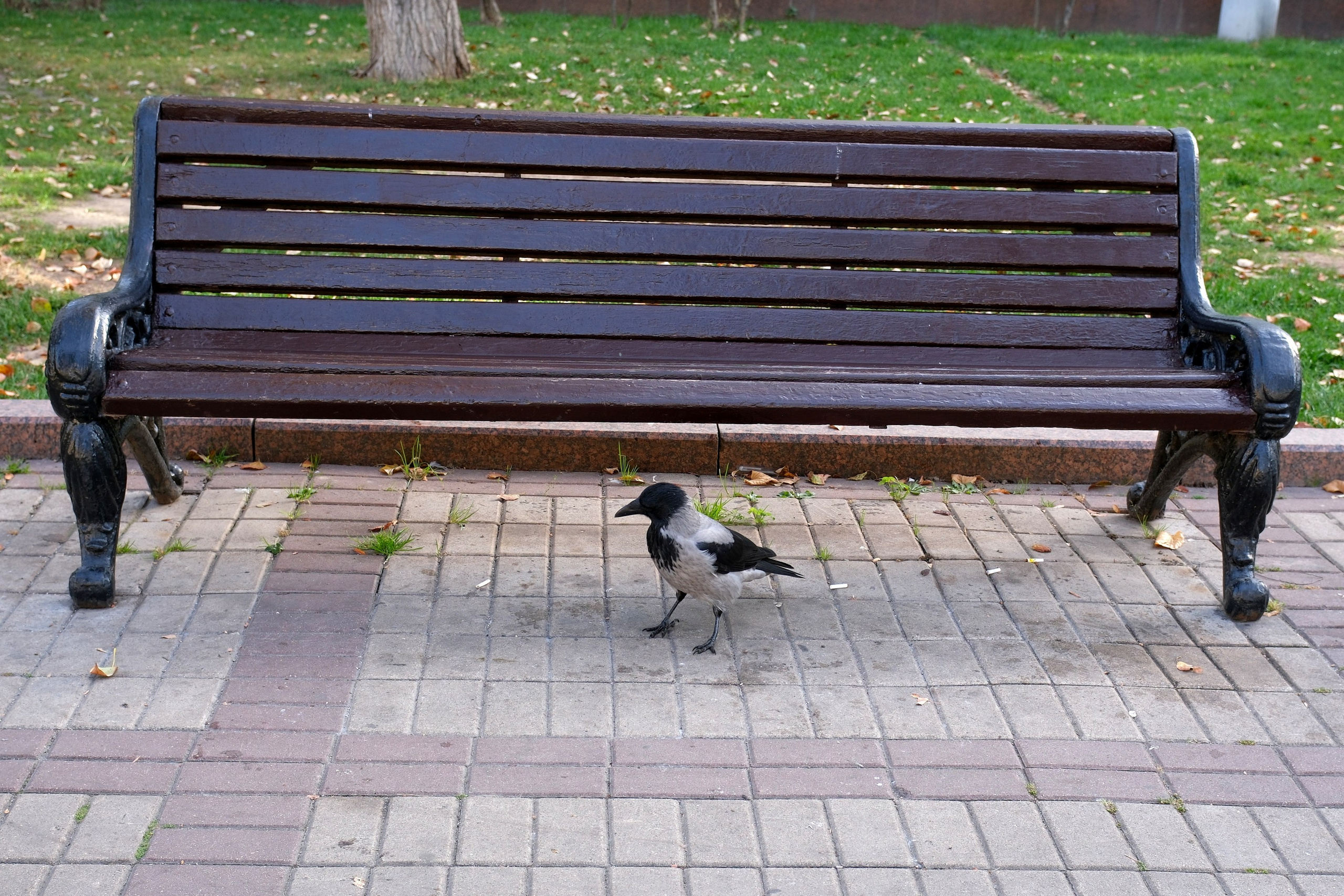 Улица, люди, жизнь…