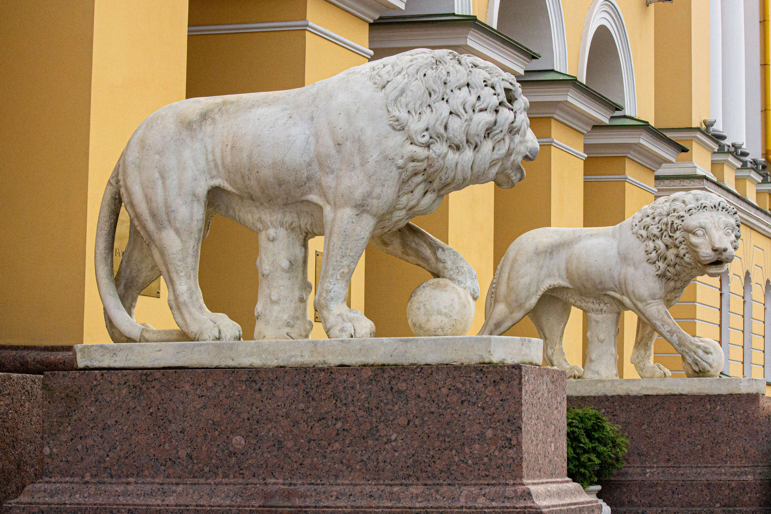 Портфолио. Natashaleto. Моменты в фотоснимках. Портретный / и не только/ фотограф Наталья. Санкт-Петербург