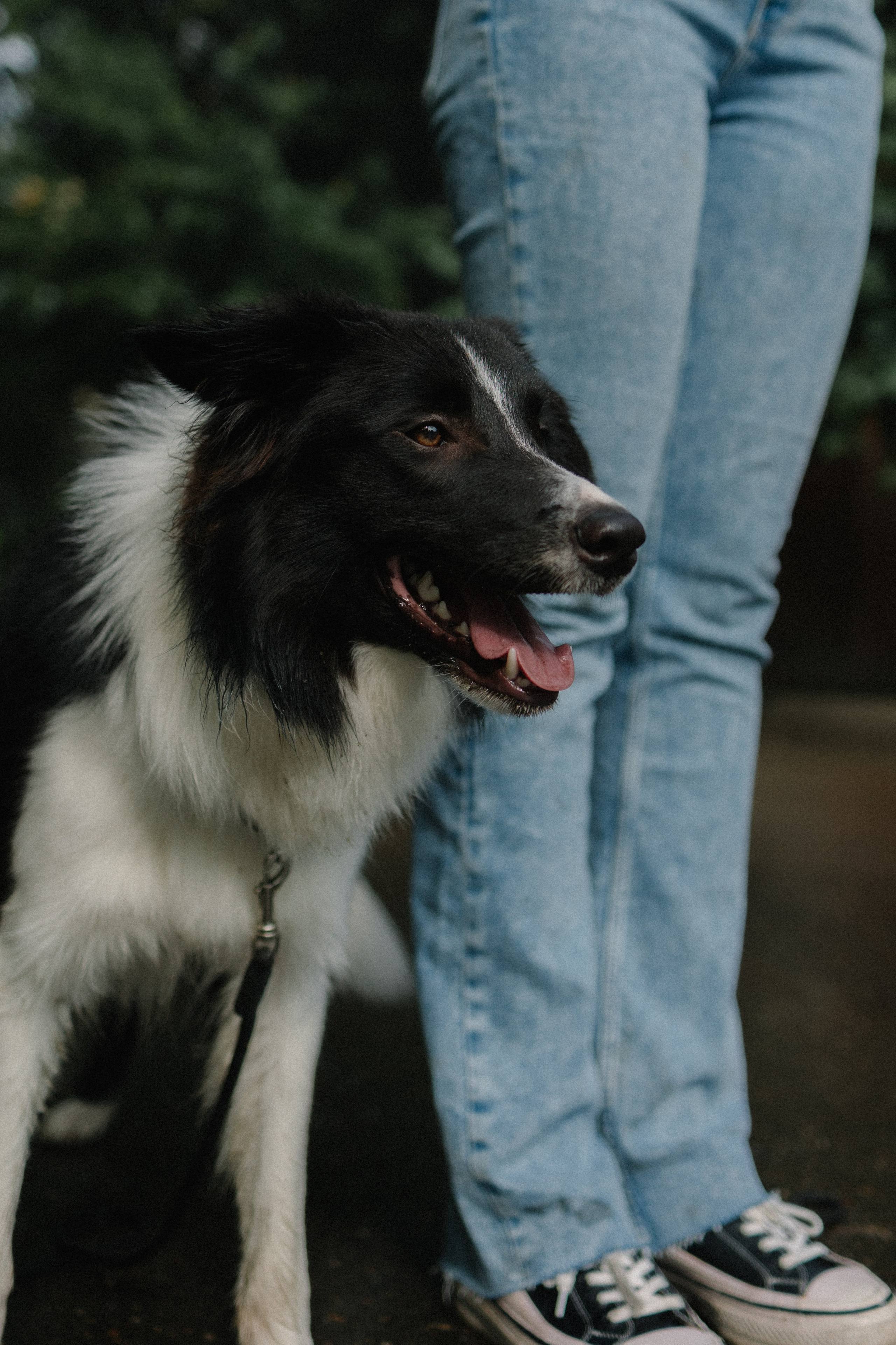 Брюс, Вейв и их ро. Фотораф — анималист Мария Шистка