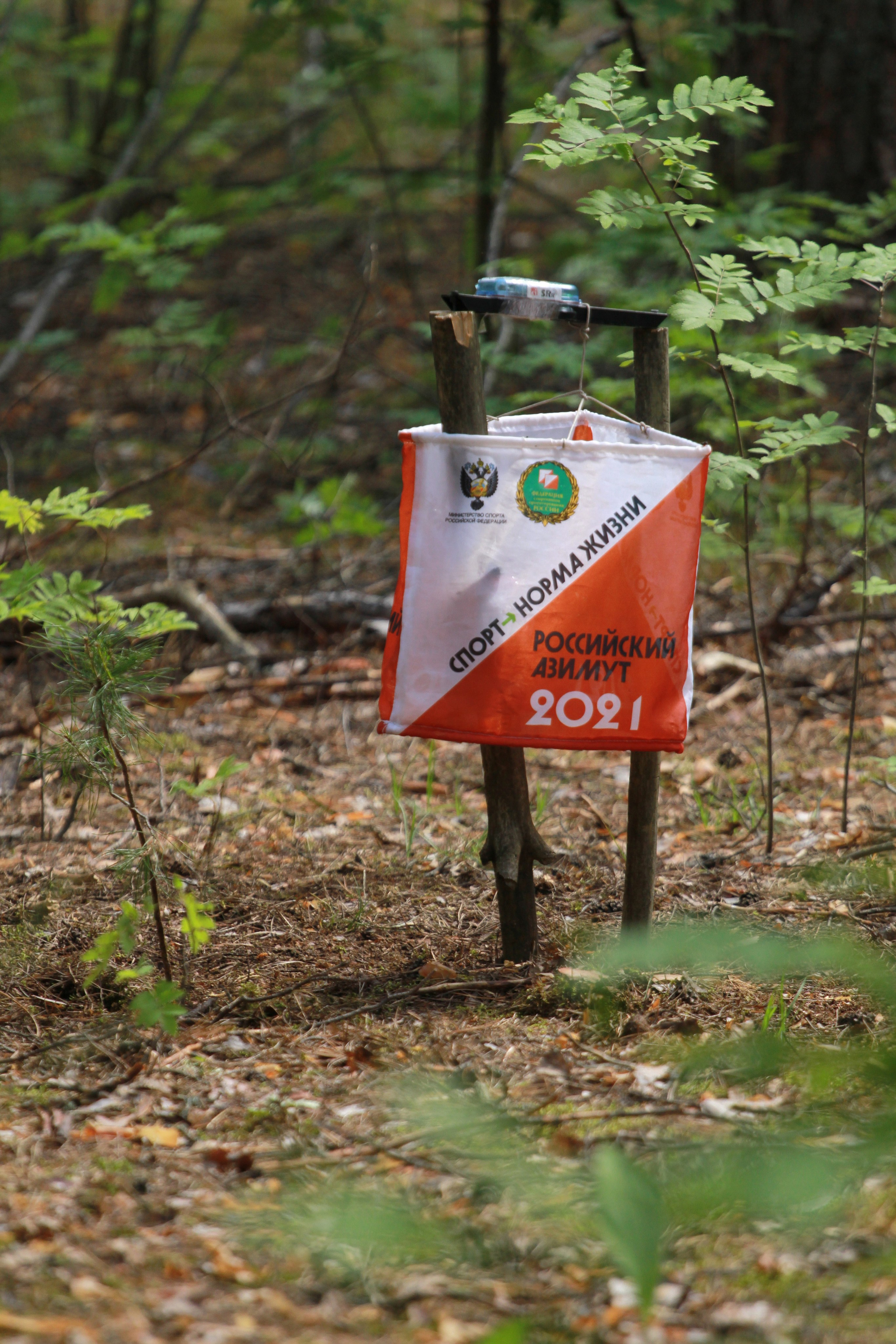 2024 06 спортивное ориентирование «младший возраст» (Мордовия). Спортивная фотография