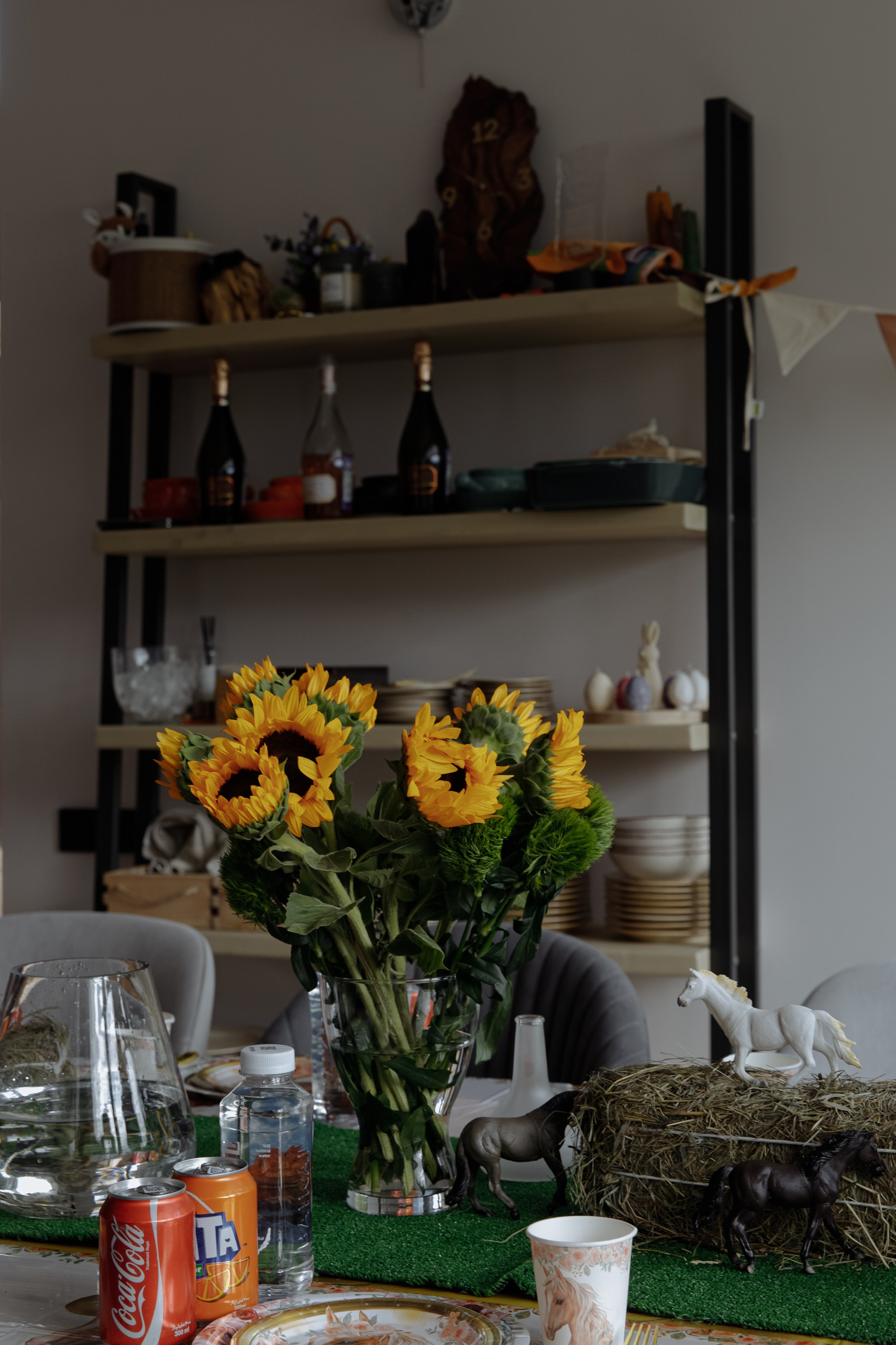 День рождение Миланьи. Главная