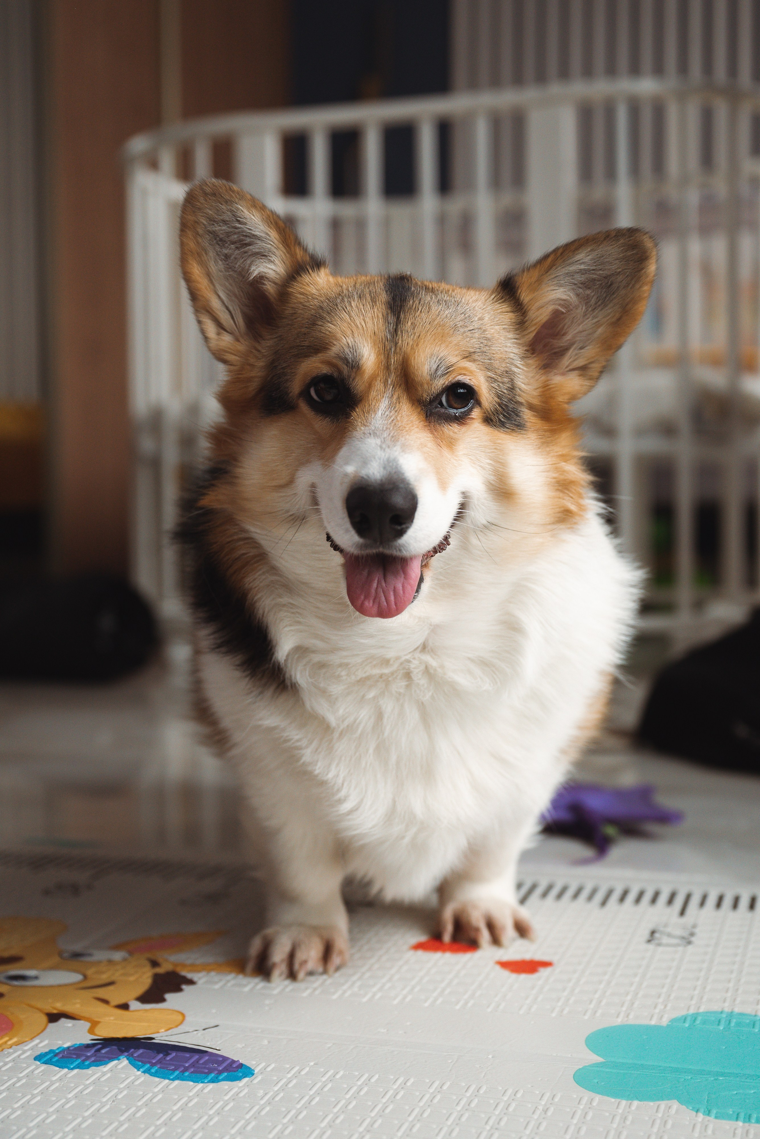 Дима и Лера. Фотограф Москва Настя Профотовна. Репортажные, свадебные и контент фотосессии