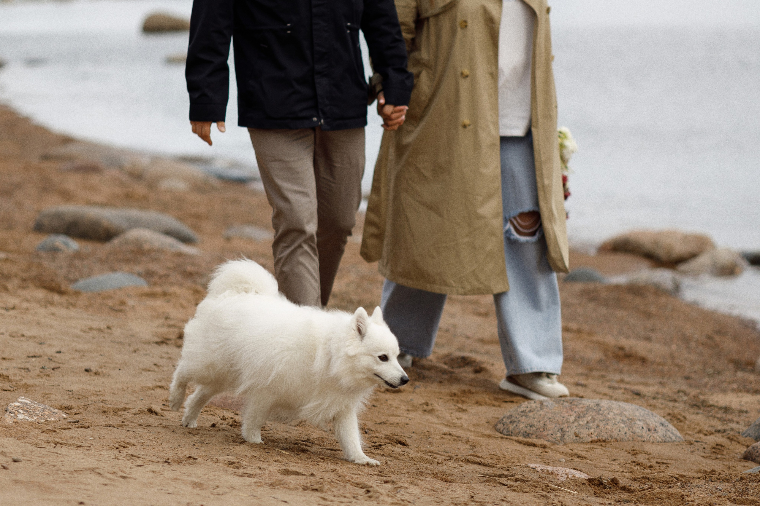 Аня, Дима и Калипсо. Женский и свадебный фотограф в Санкт-Петербурге Матвеева Наталья