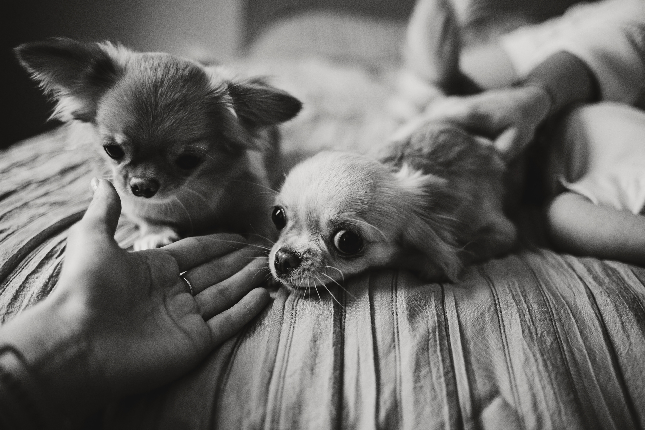 Влад, Лера, Никита и Егор. Семейный lifestyle фотограф в Санкт-Петербурге Людмила Пахомова