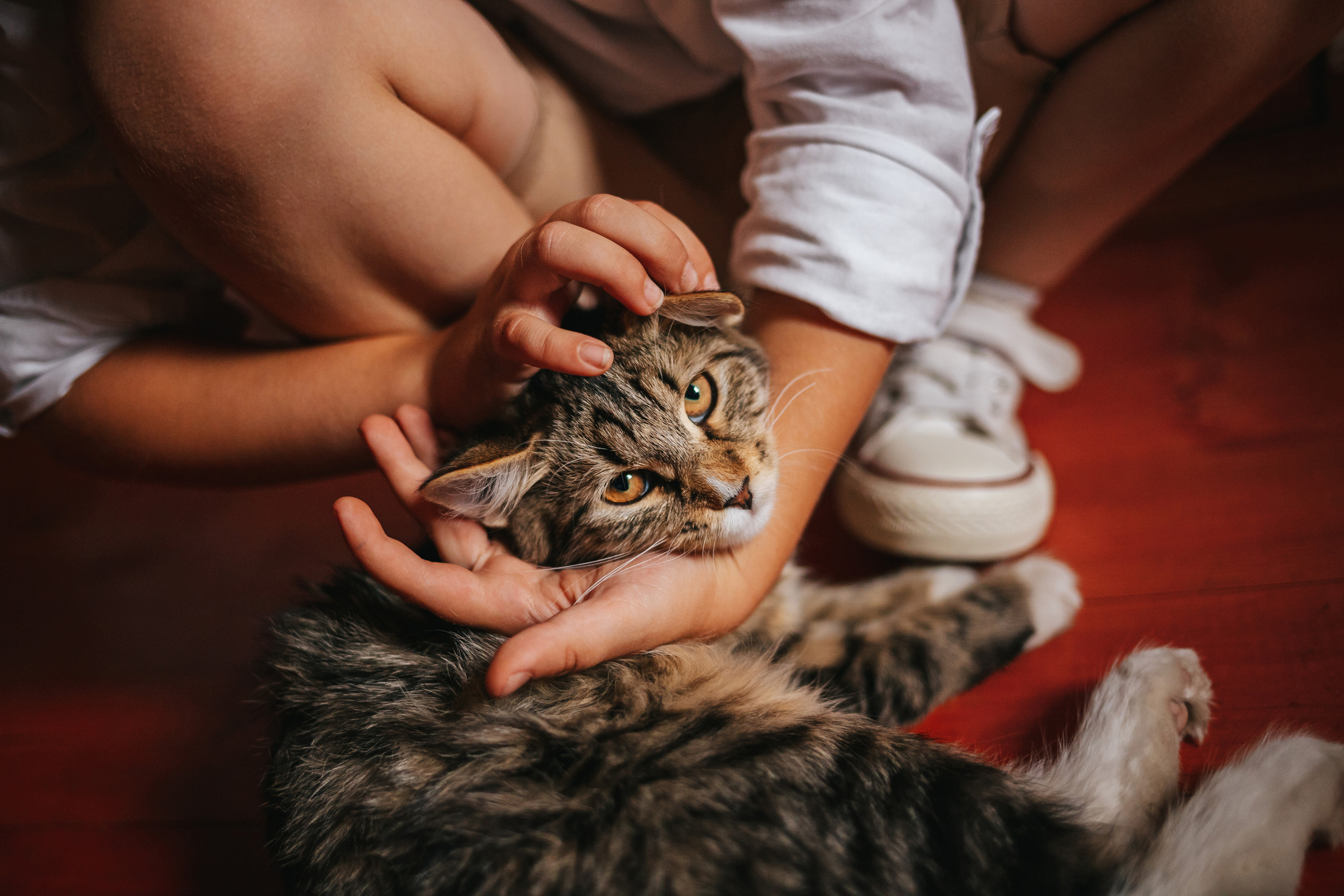 Серёжа, Алёна и Миша. Семейный lifestyle фотограф в Санкт-Петербурге Людмила Пахомова