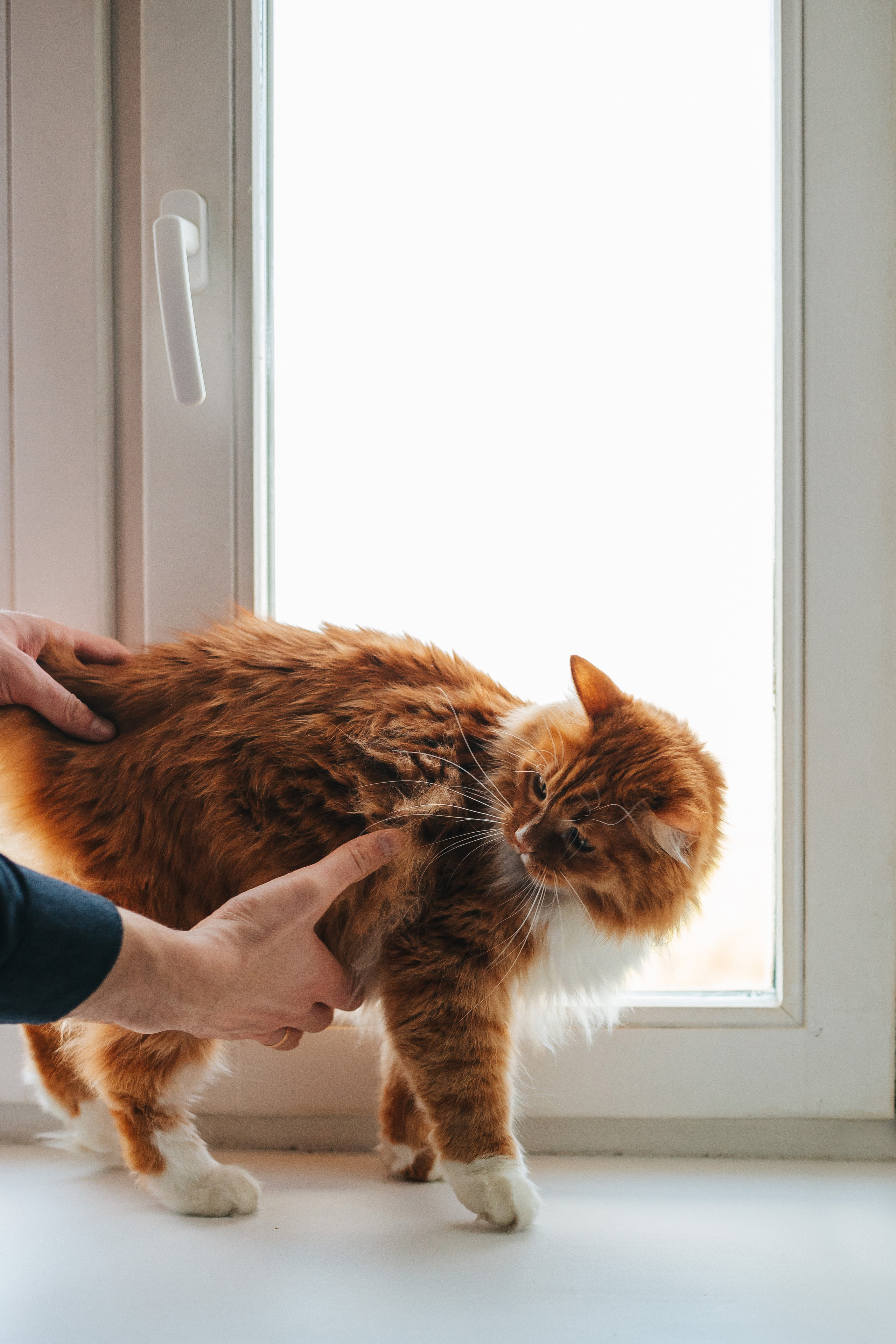 Паша, Оля и Тася. Семейный lifestyle фотограф в Санкт-Петербурге Людмила Пахомова