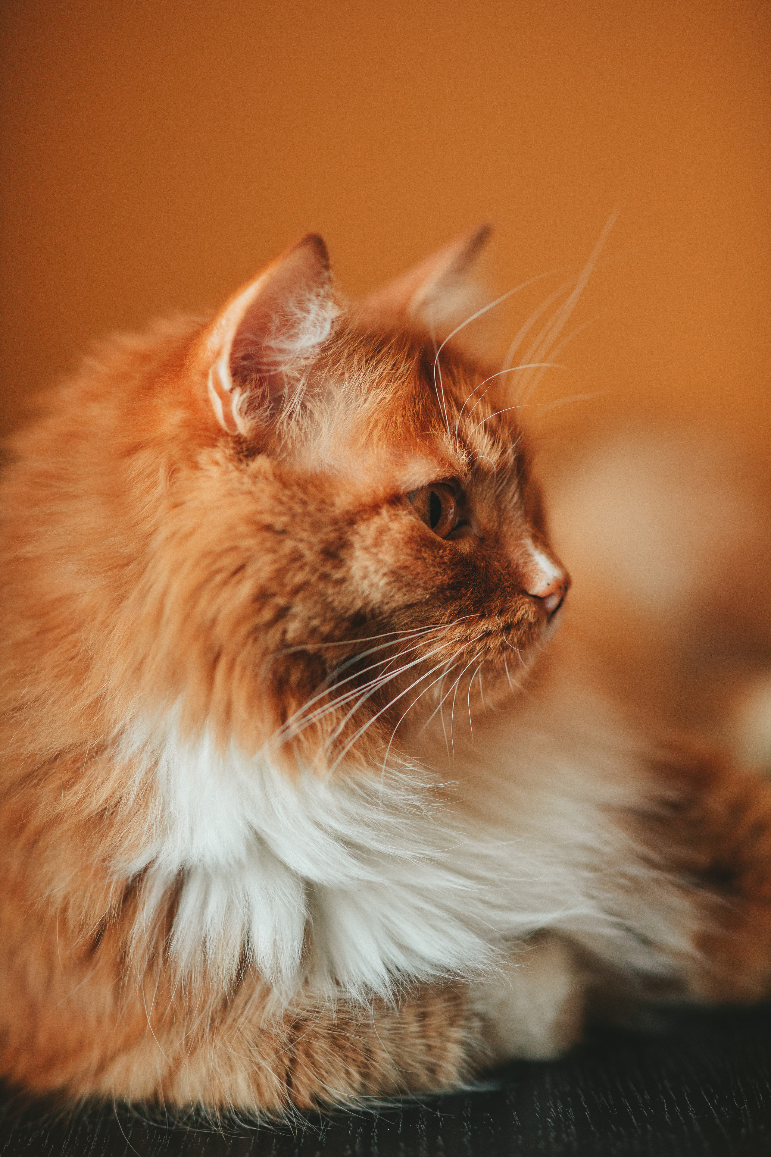 Паша, Оля и Тася. Семейный lifestyle фотограф в Санкт-Петербурге Людмила Пахомова