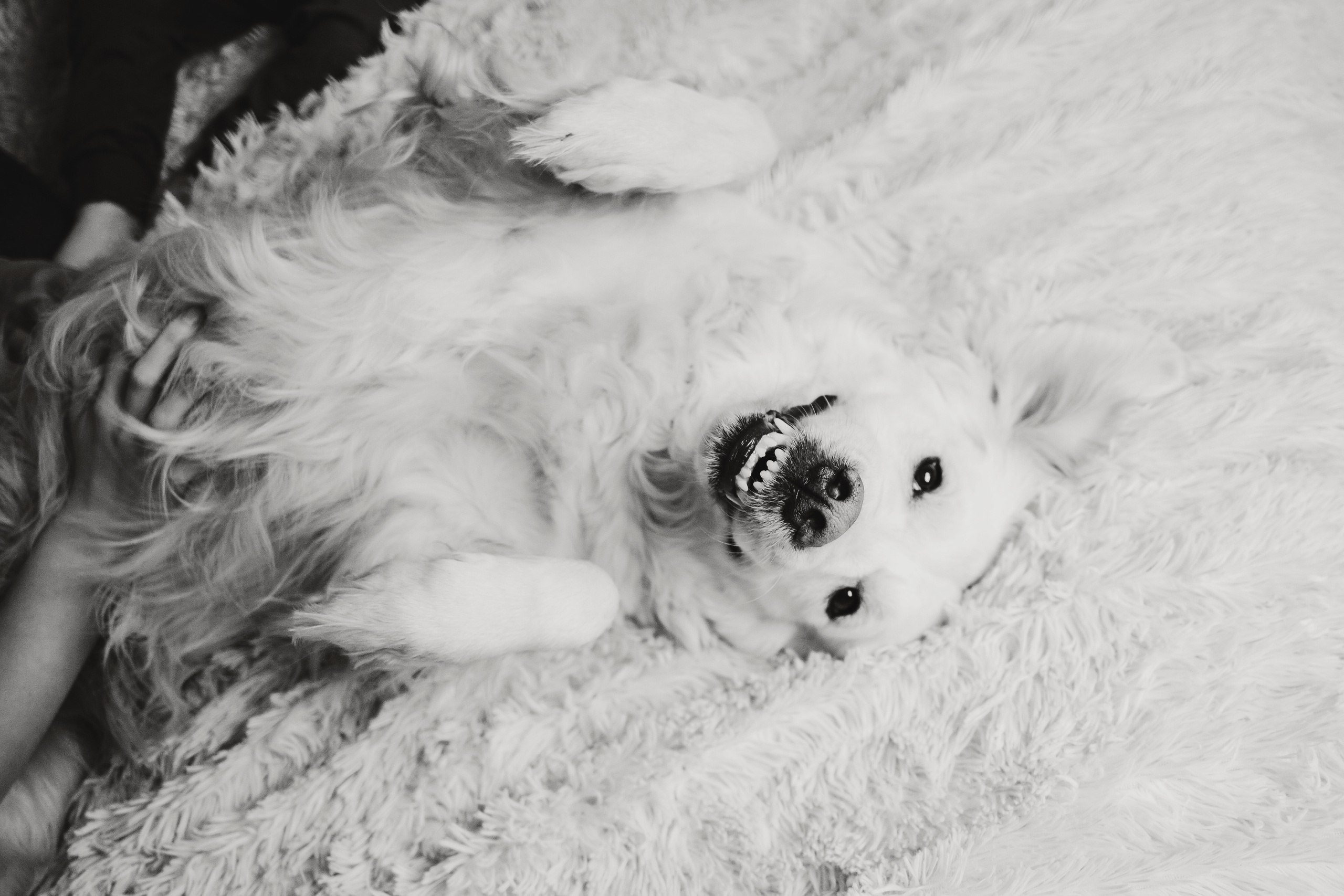 Ульяна, Саша и Миша. Семейный lifestyle фотограф в Санкт-Петербурге Людмила Пахомова