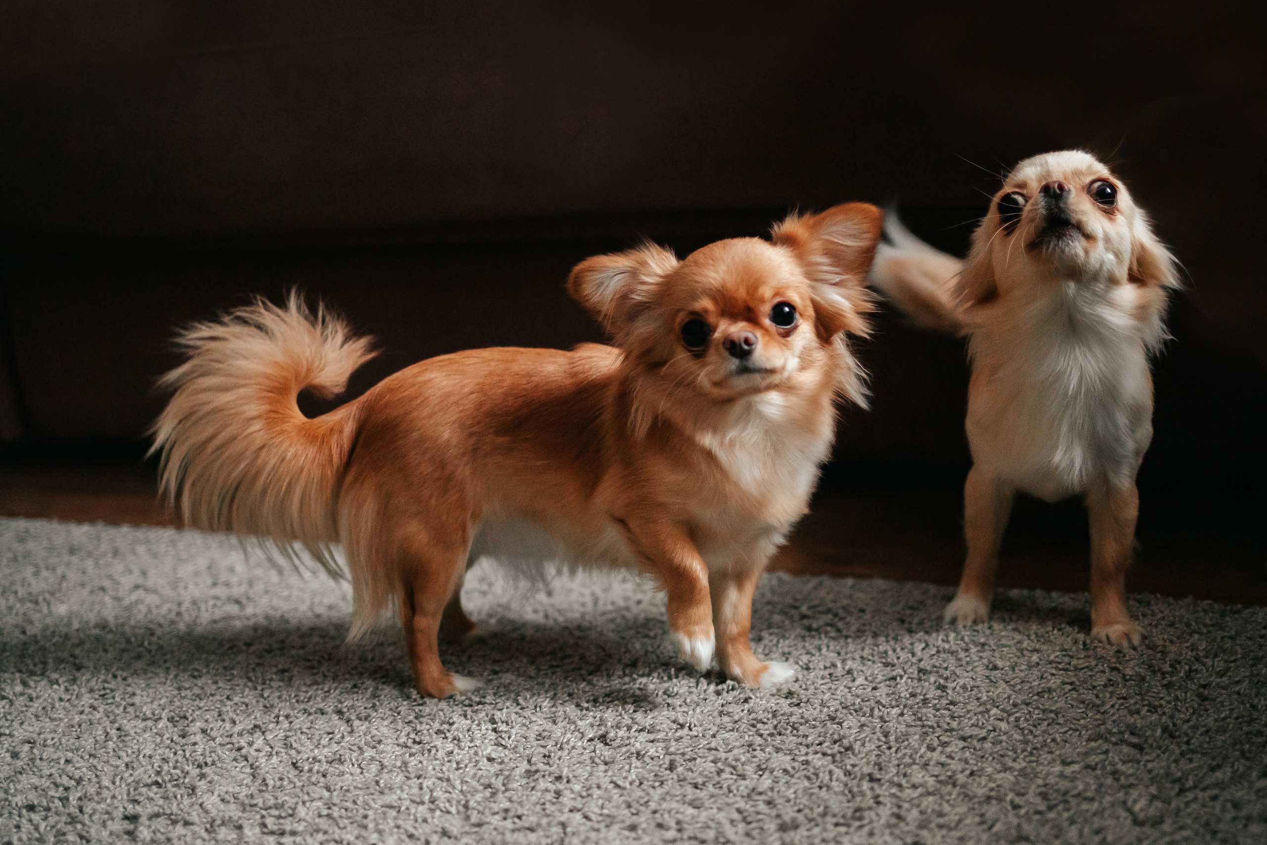 Влад, Лера, Никита и Егор. Семейный lifestyle фотограф в Санкт-Петербурге Людмила Пахомова