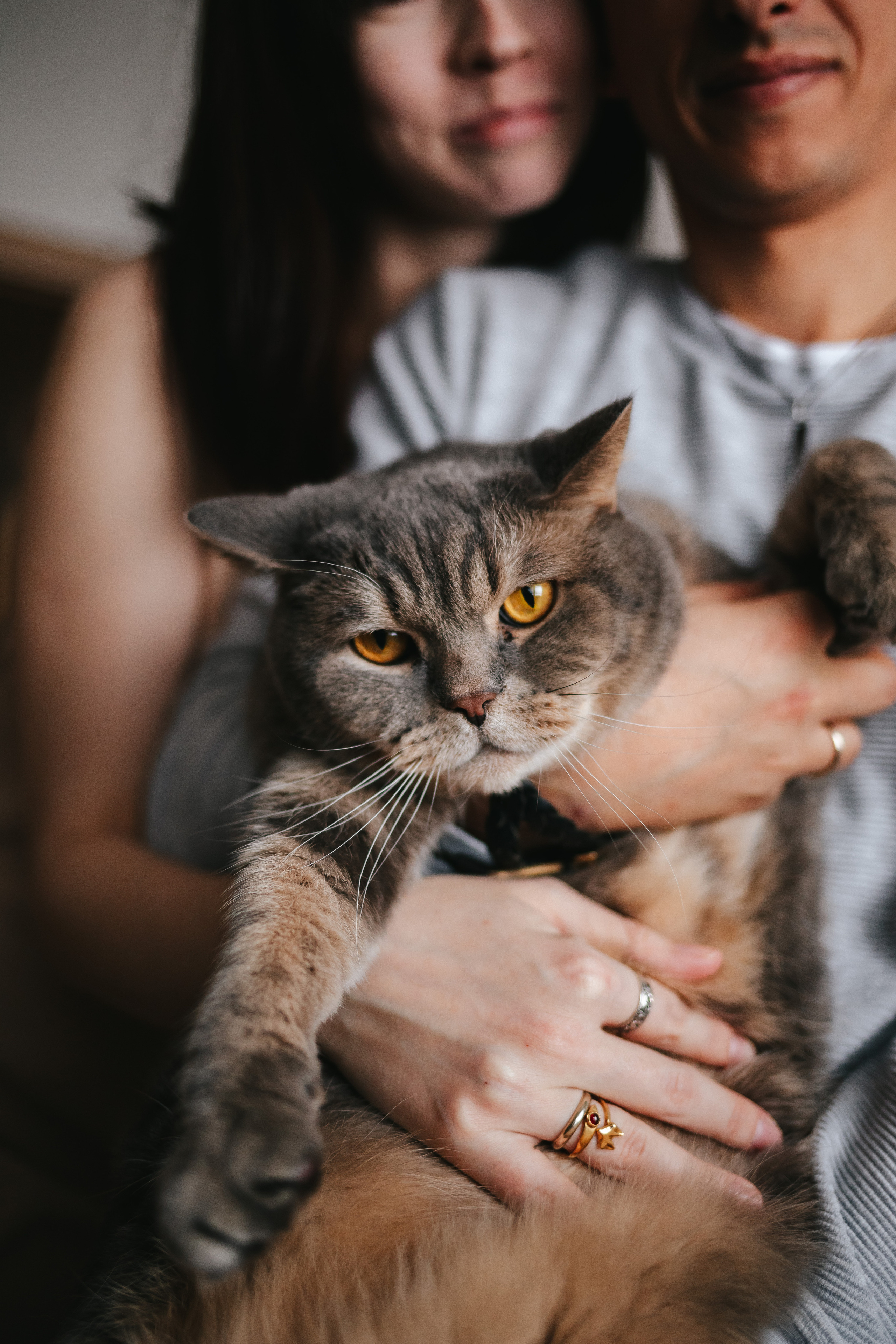 Дима, Женя и Максим. Семейный lifestyle фотограф в Санкт-Петербурге Людмила Пахомова