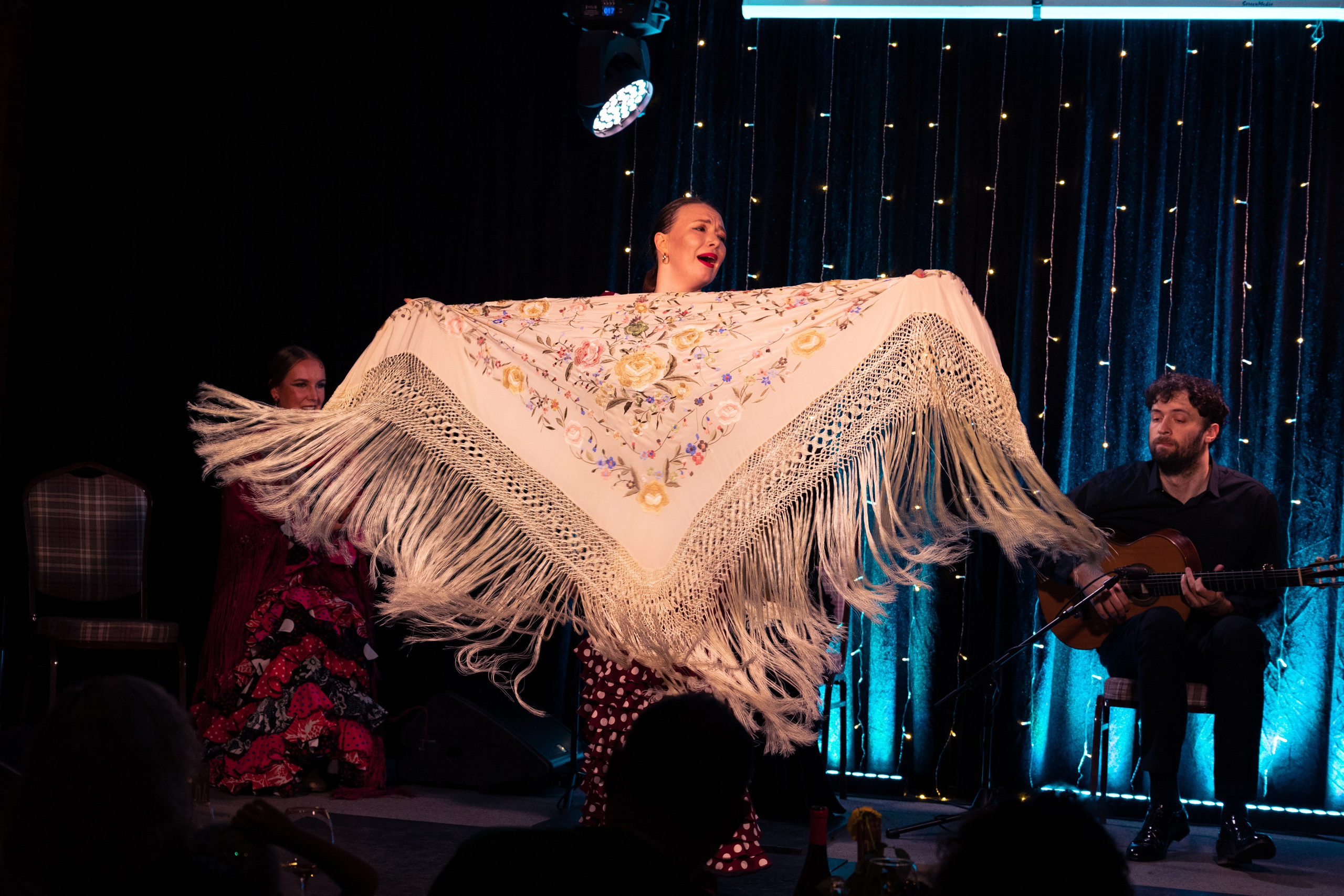 Flamenco 02.01.2025. Индивидуальные съемки, портретный фотограф