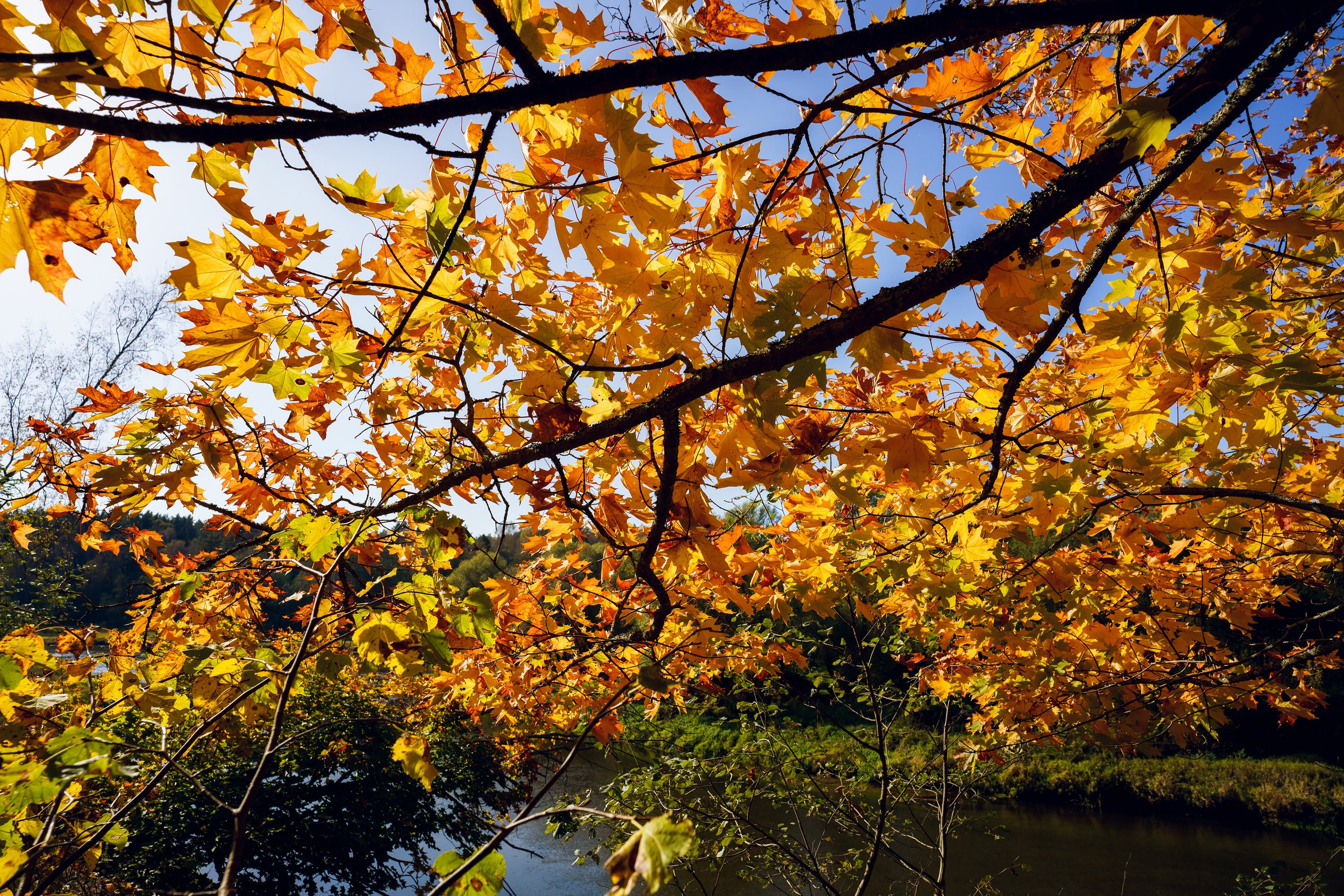 Фотографии Большая Калужская Тропа. Фотограф спортивные события, недвижимость, турбизнес