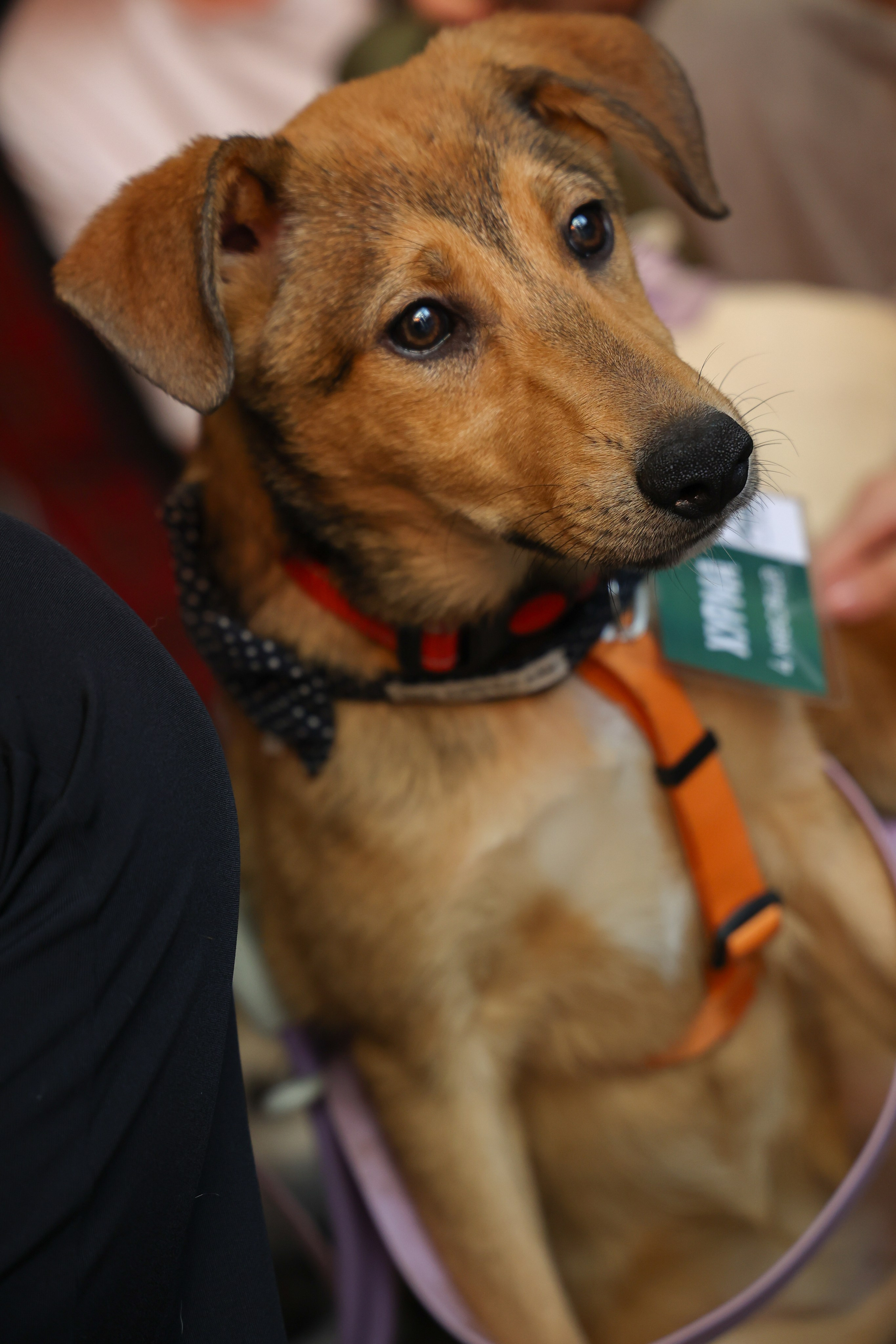 ECO FEST. Фотограф Вадим Бодылев
