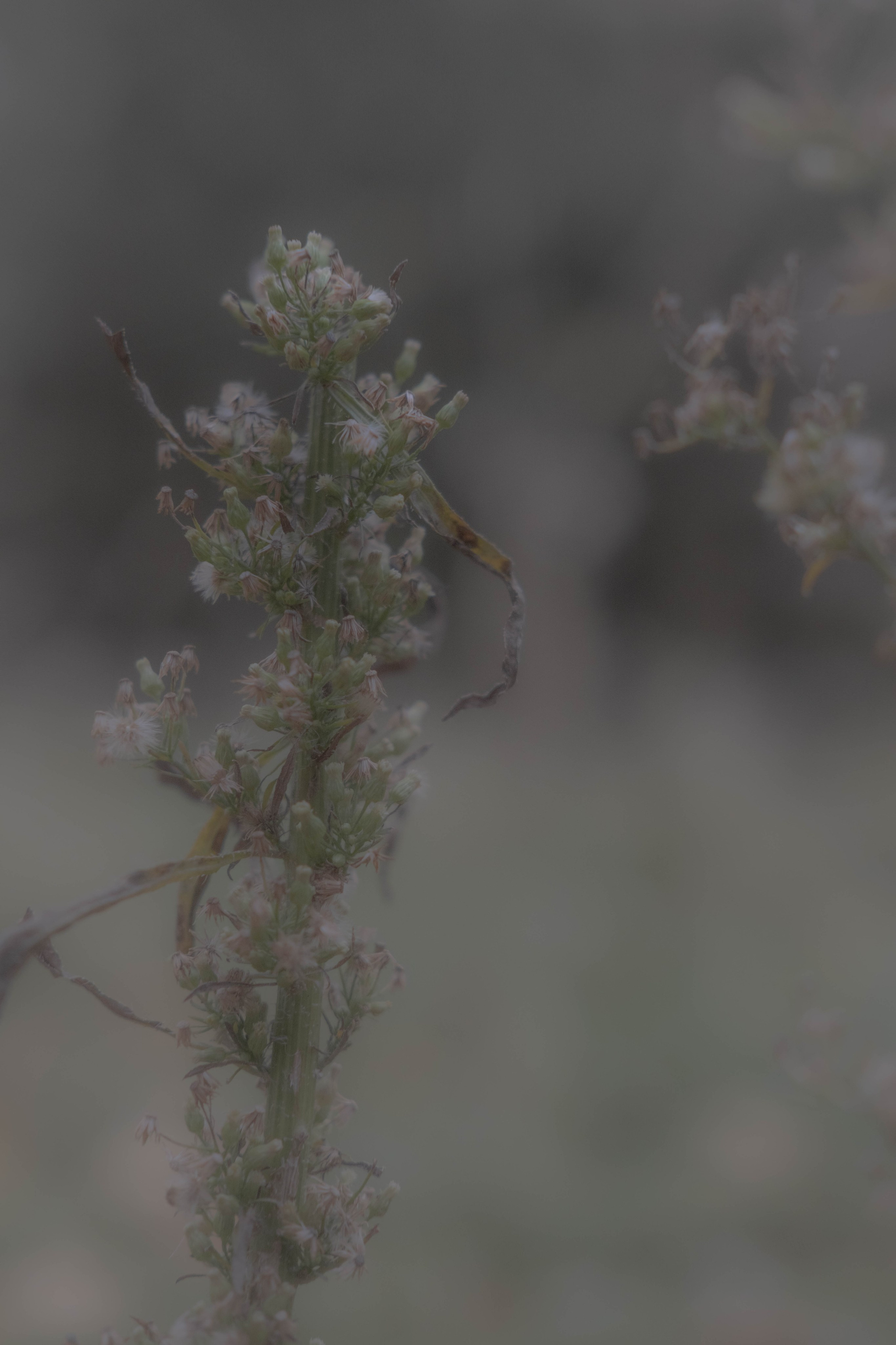 DEATHBED. Фотограф Вадим Бодылев