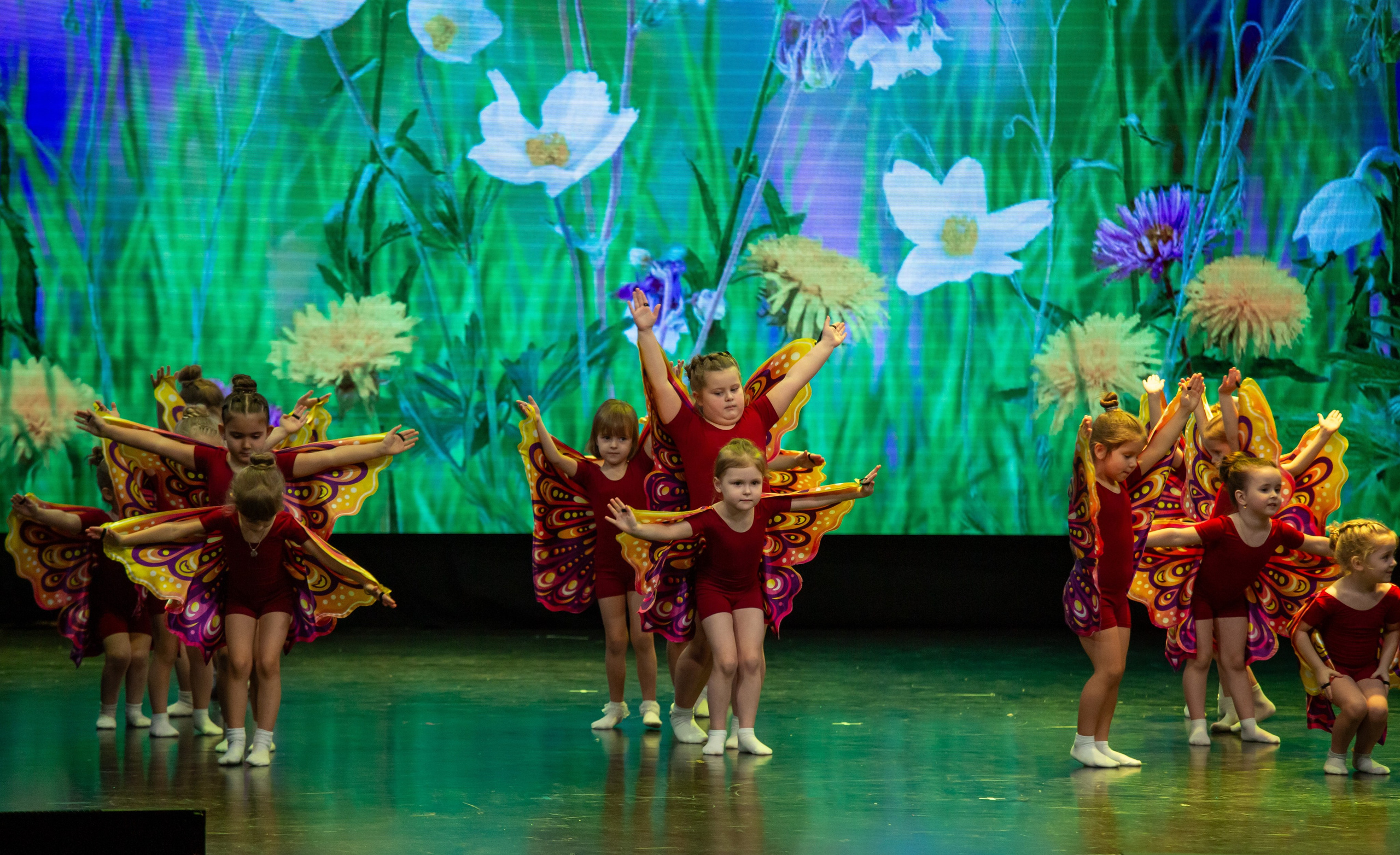Концерт детской танцевальной школы. Репортажный, семейный, свадебный, портретный фотограф
