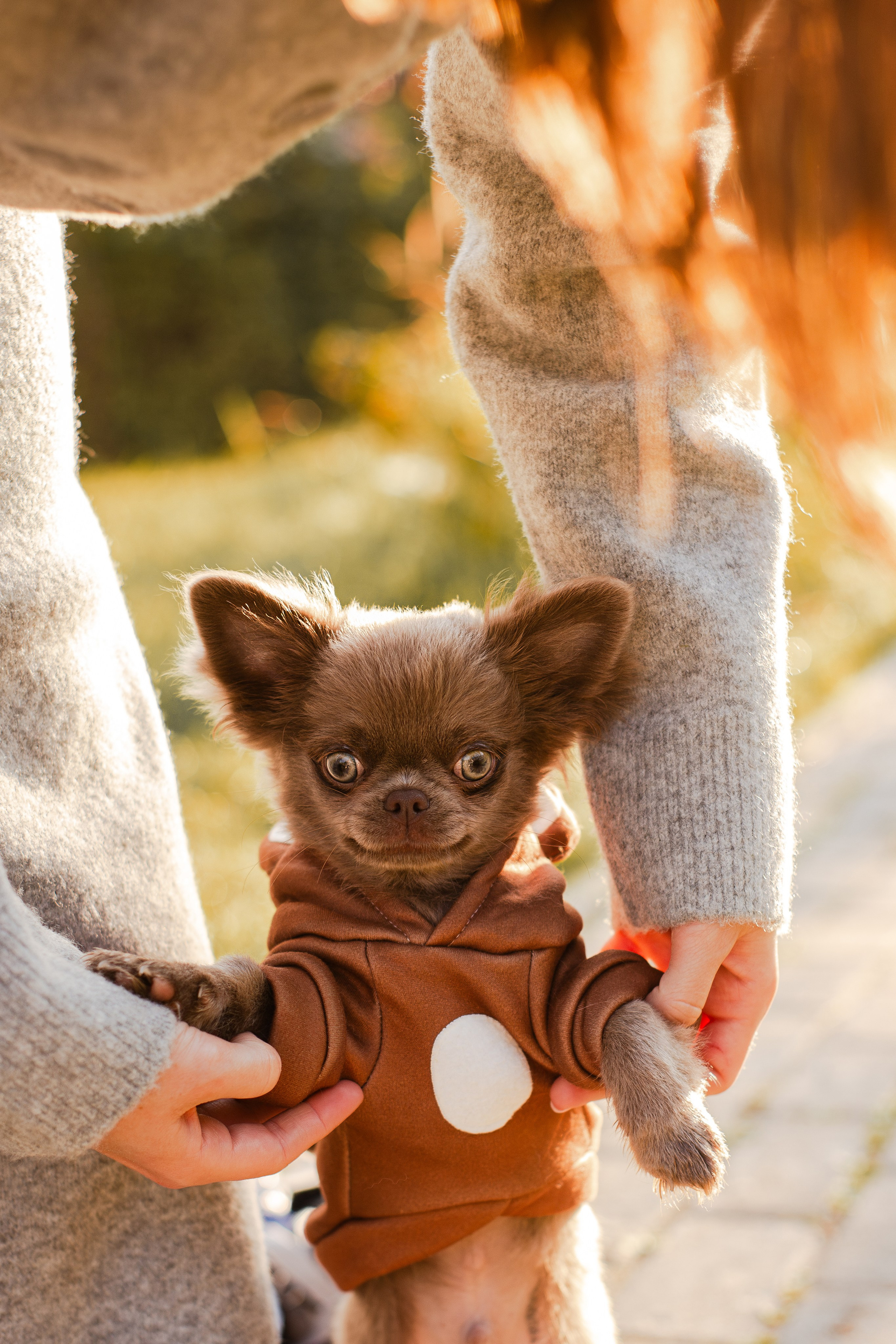 Варя и Фунтик. Фотограф-анималист Мария Баркевич | Москва