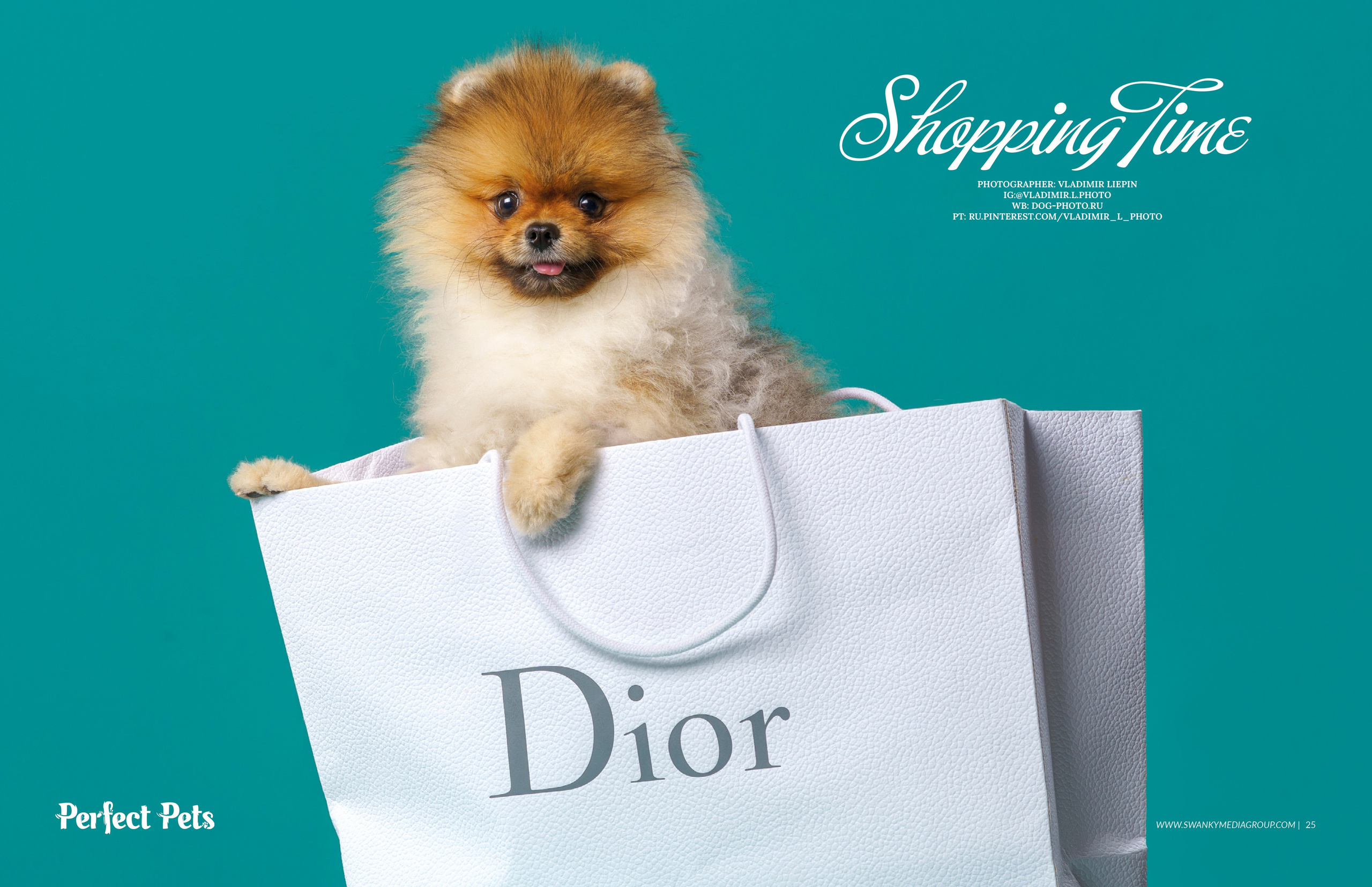 Фото шпица в пакете Dior