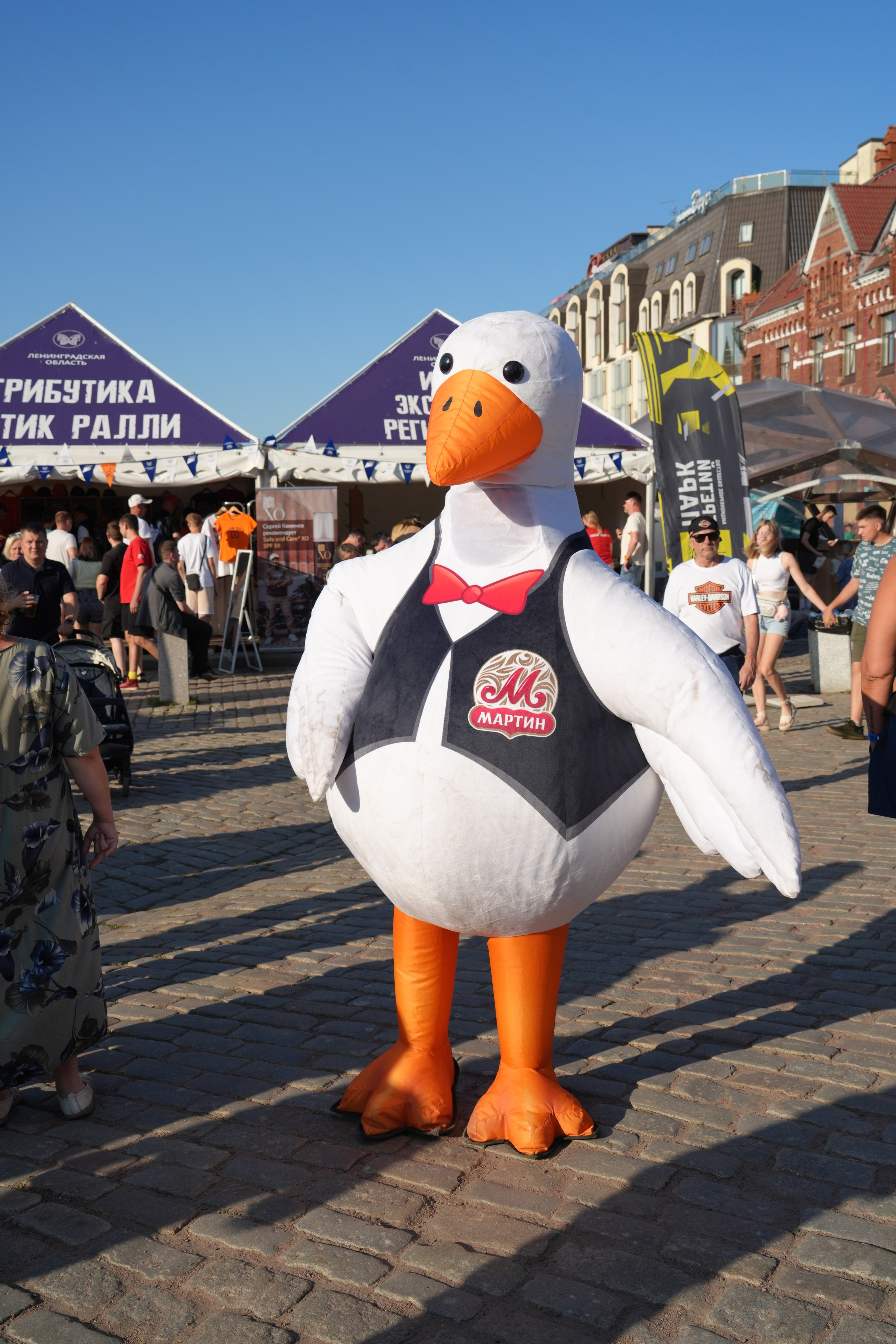 БАЛТИК РАЛЛИ Выборг 2025. Портретный фотограф в Санкт-Петербурге Дмитриева Наталия