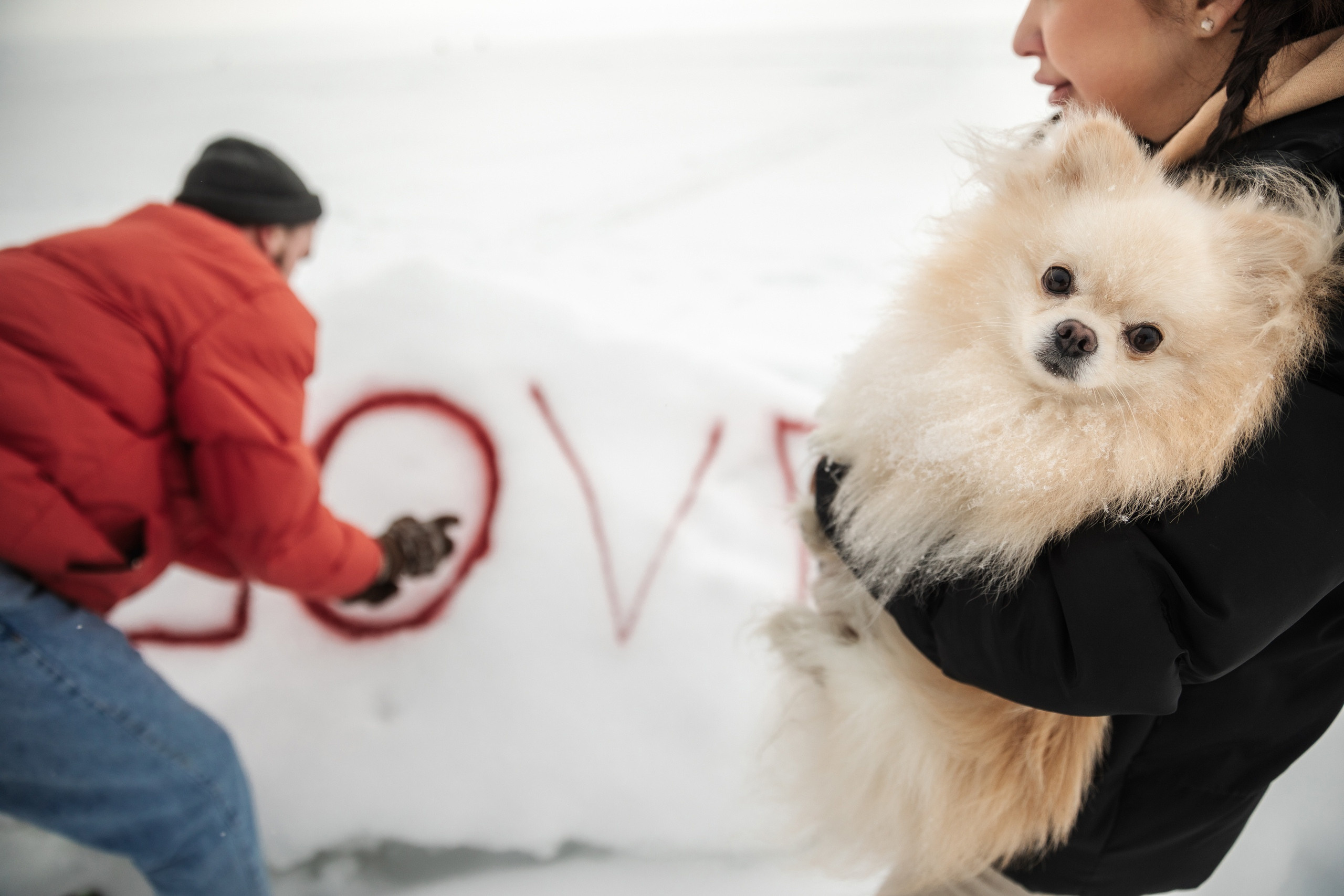 Семейная фотосессия. Свадебный и семейный фотограф в Санкт-Петербурге Нечаев Михаил