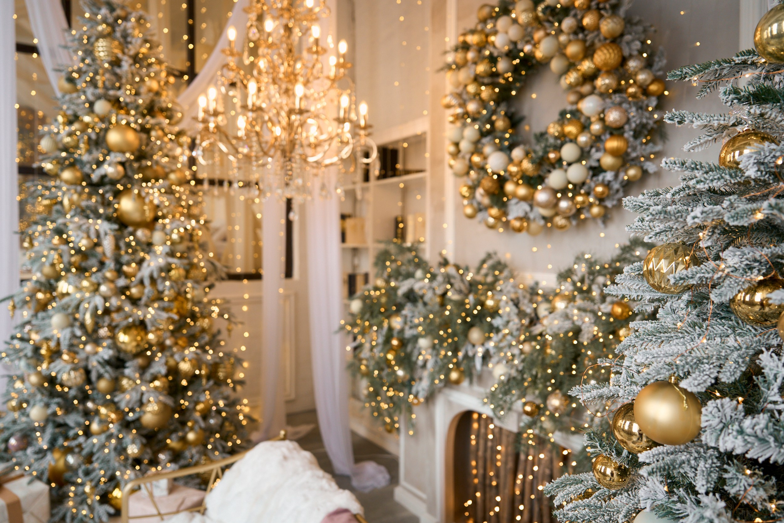 Флэт (Flat). Фотограф г. Хабаровск. Семейные и индивидуальные съёмки