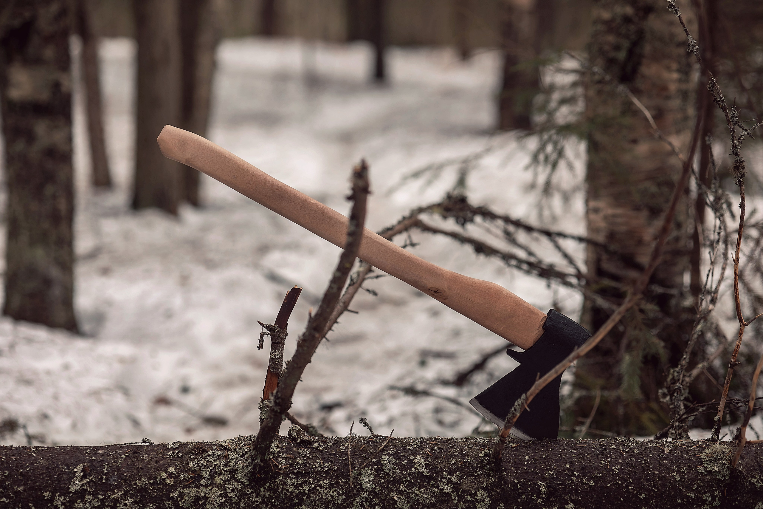 Лесоруб. Фотограф в Петрозаводске BellaDonna