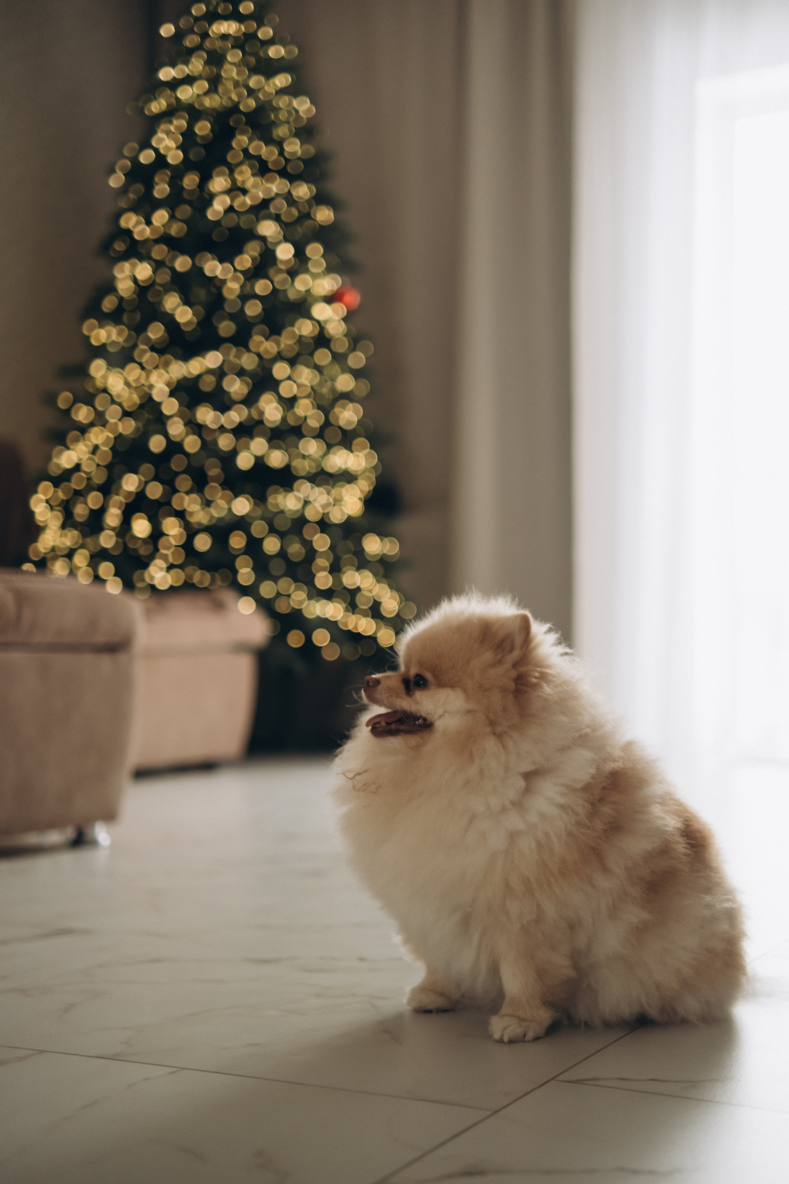 Анна+Евгений+Евочка. Фотограф в Екатеринбурге Селиверстова Екатерина