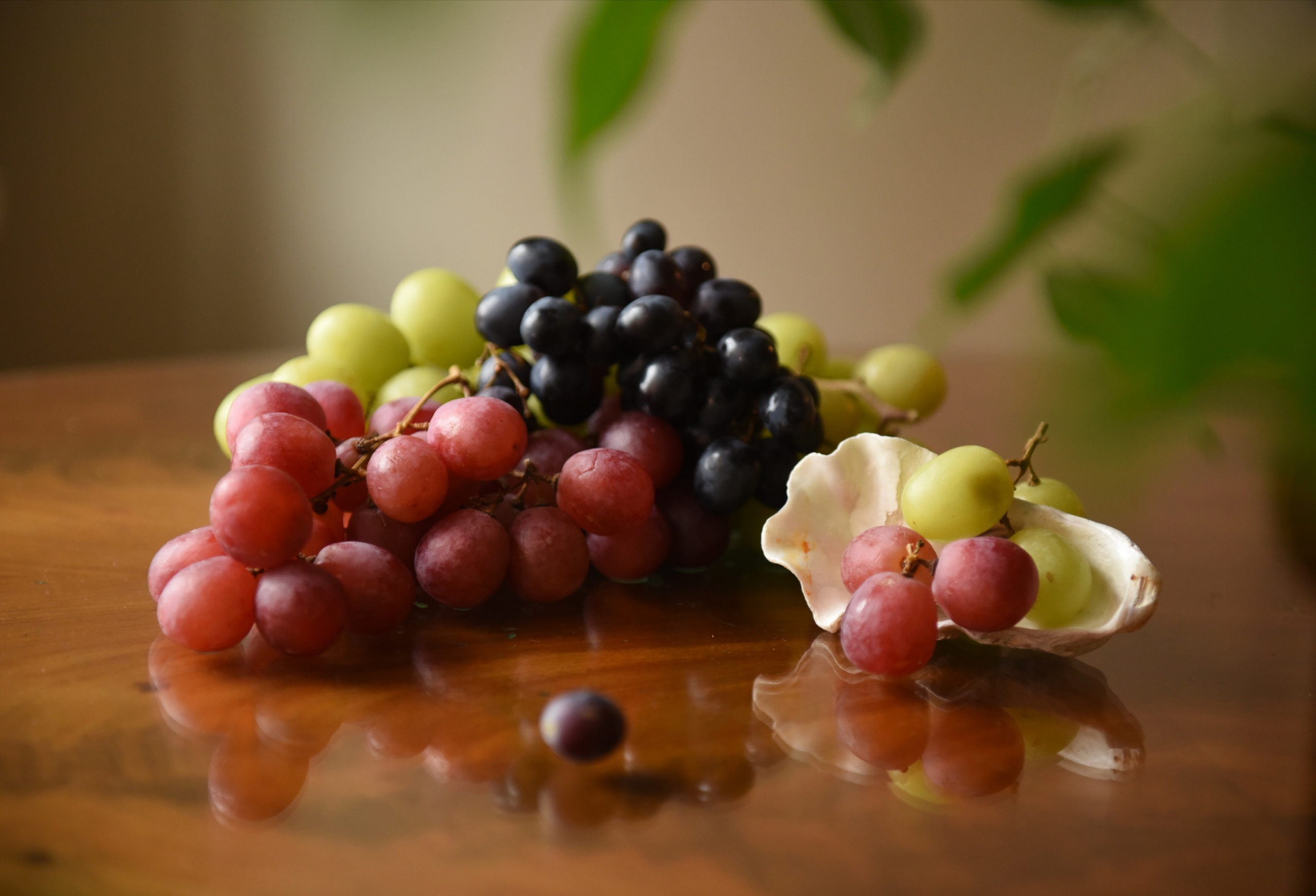 Предметная съемка. Приходской фотограф и педагог Екатерина Ивлянова