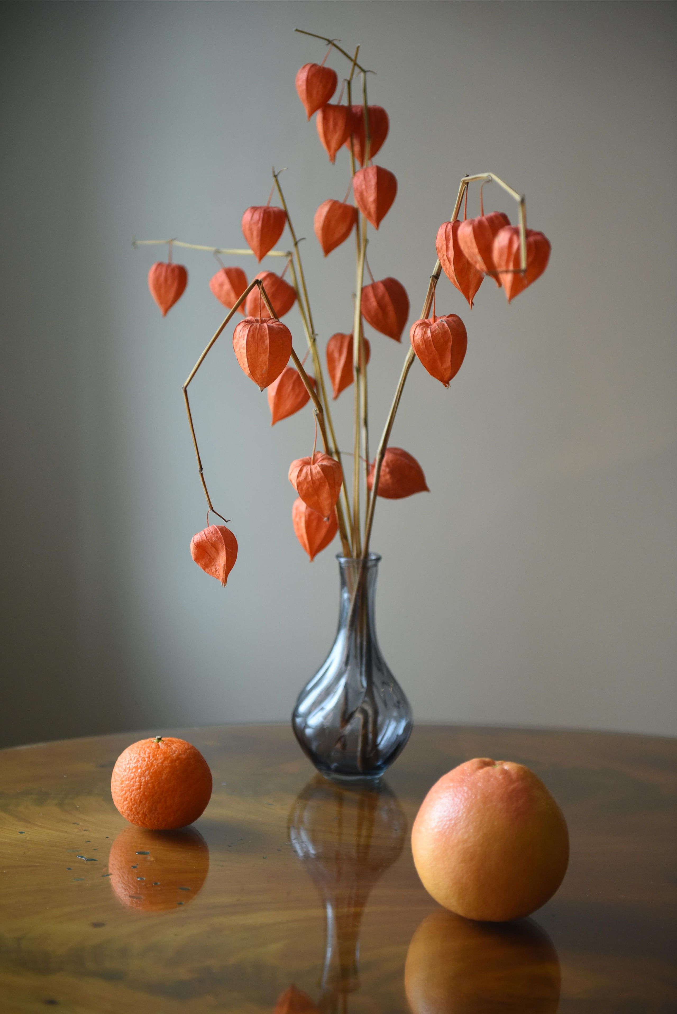 Предметная съемка. Приходской фотограф и педагог Екатерина Ивлянова