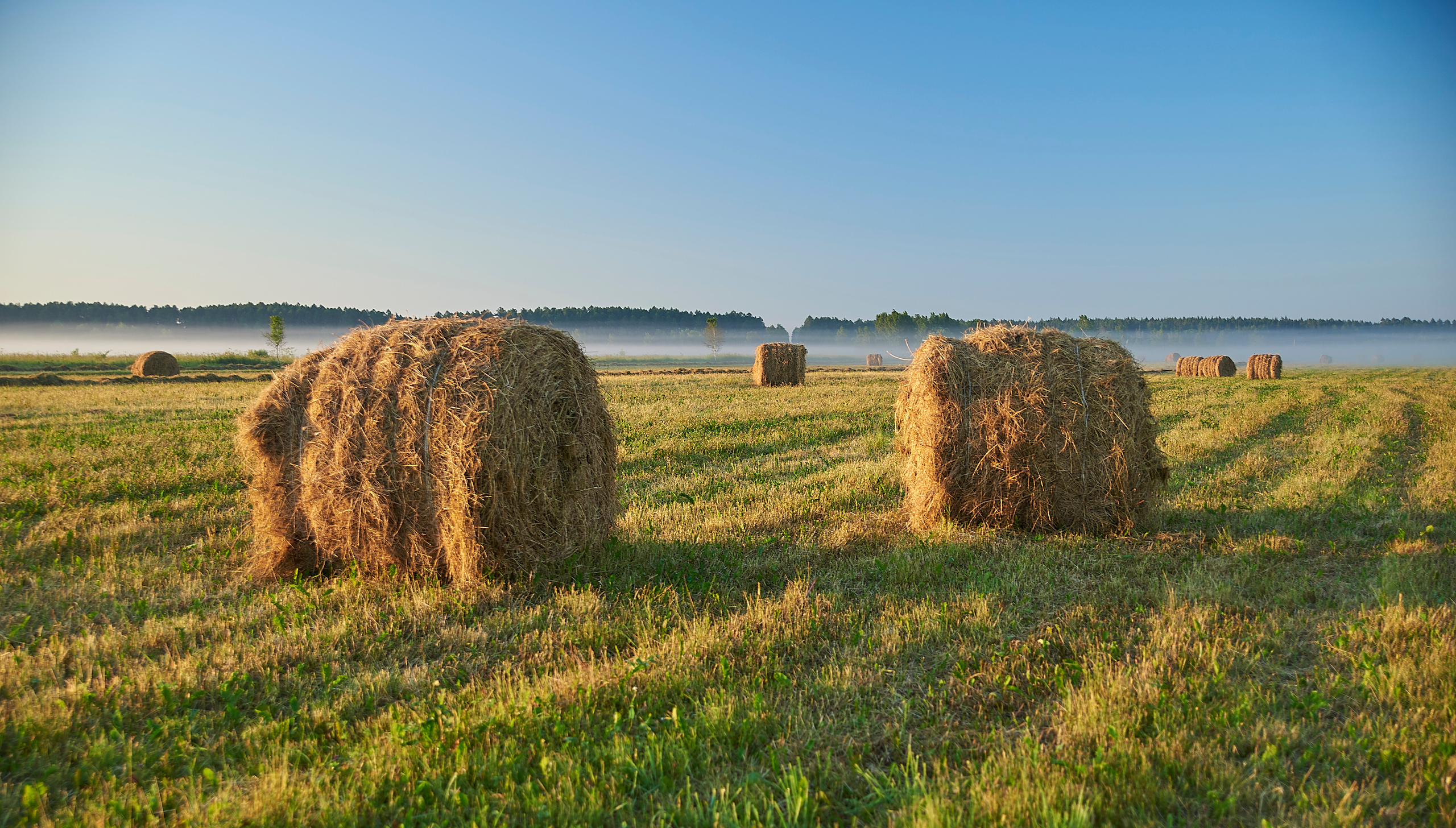 Природа. Приходской фотограф и педагог Екатерина Ивлянова