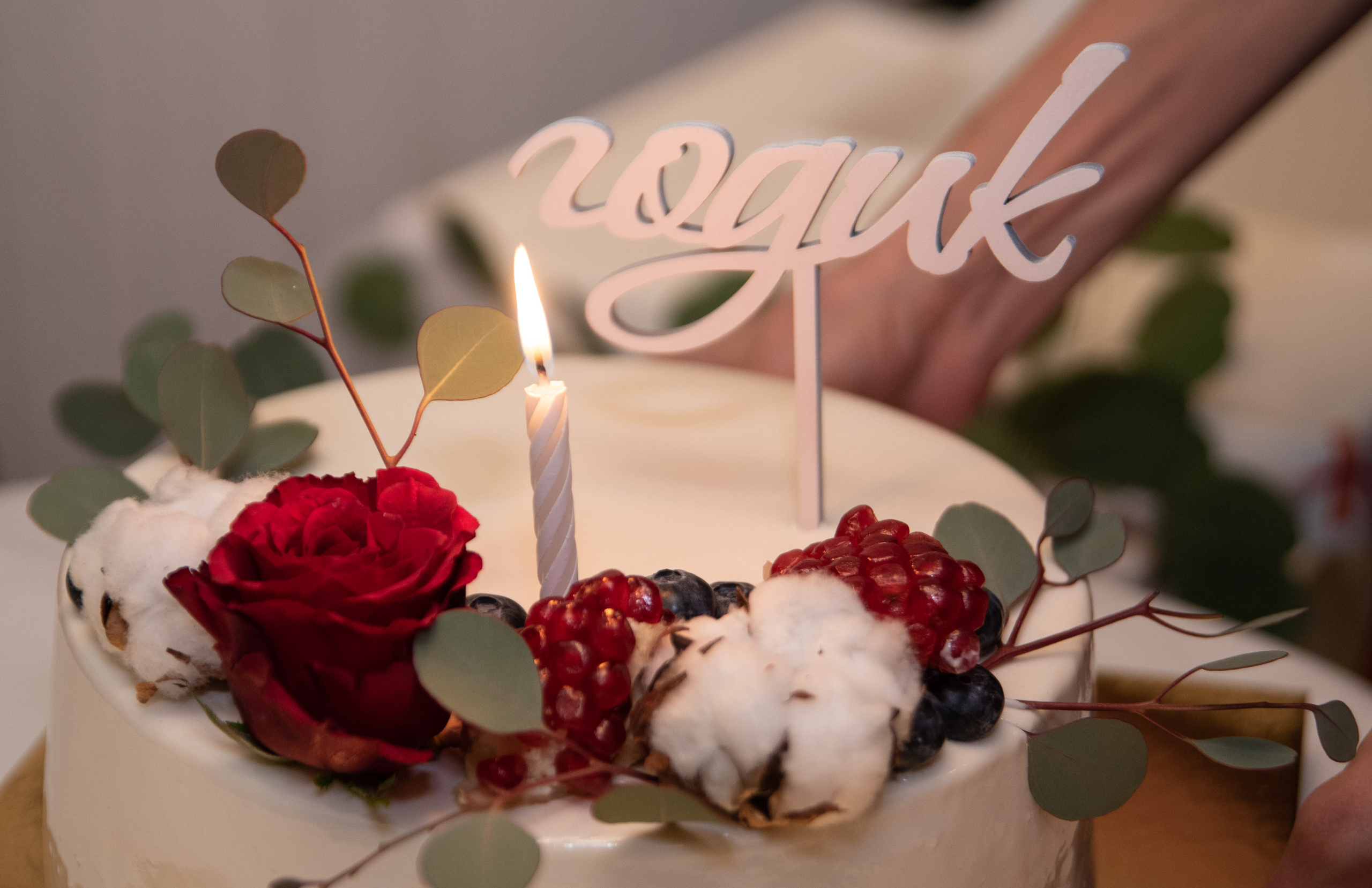 День рождения Эмилии (1 год). Приходской фотограф и педагог Екатерина Ивлянова