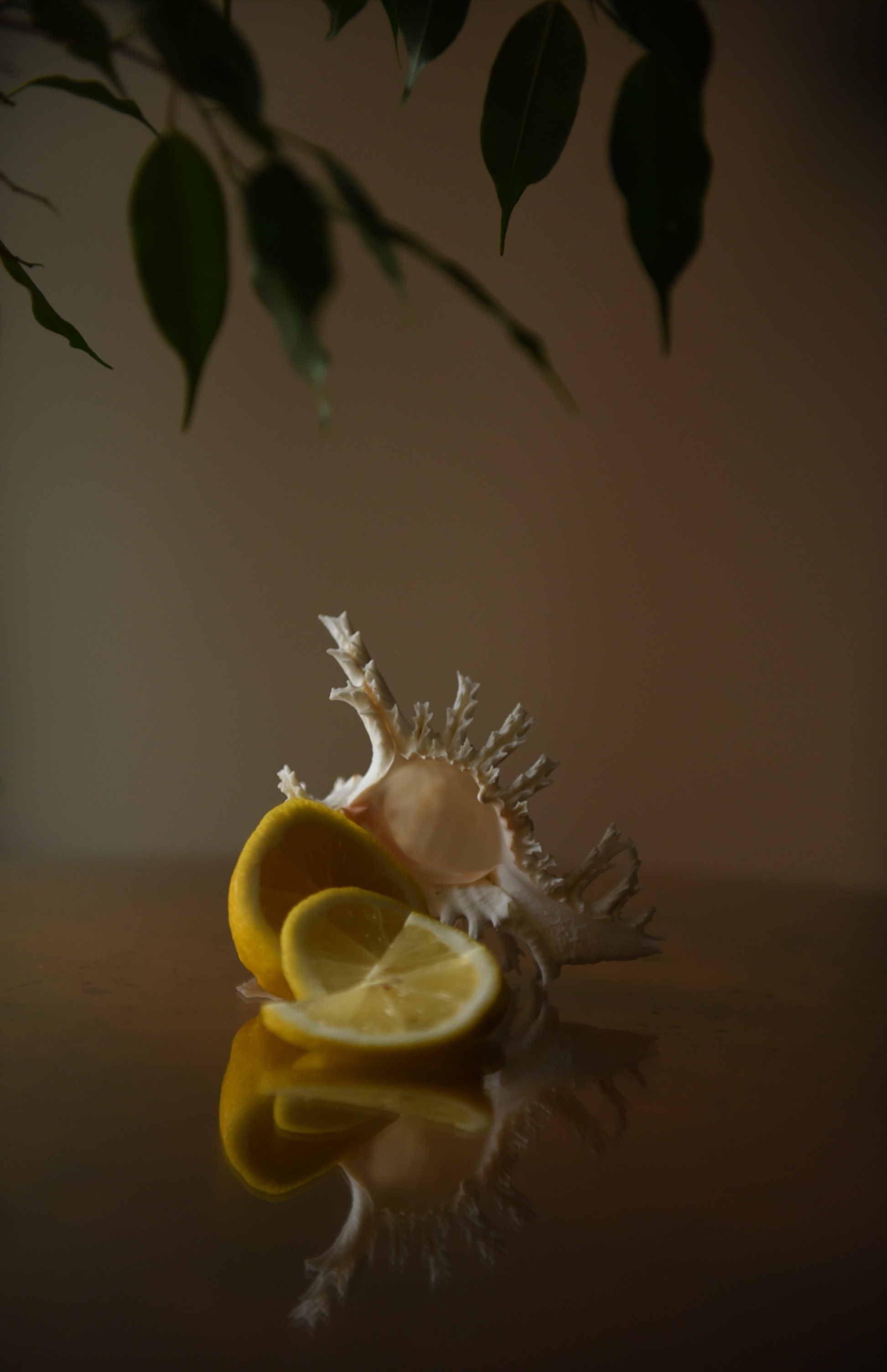 Предметная съемка. Приходской фотограф и педагог Екатерина Ивлянова