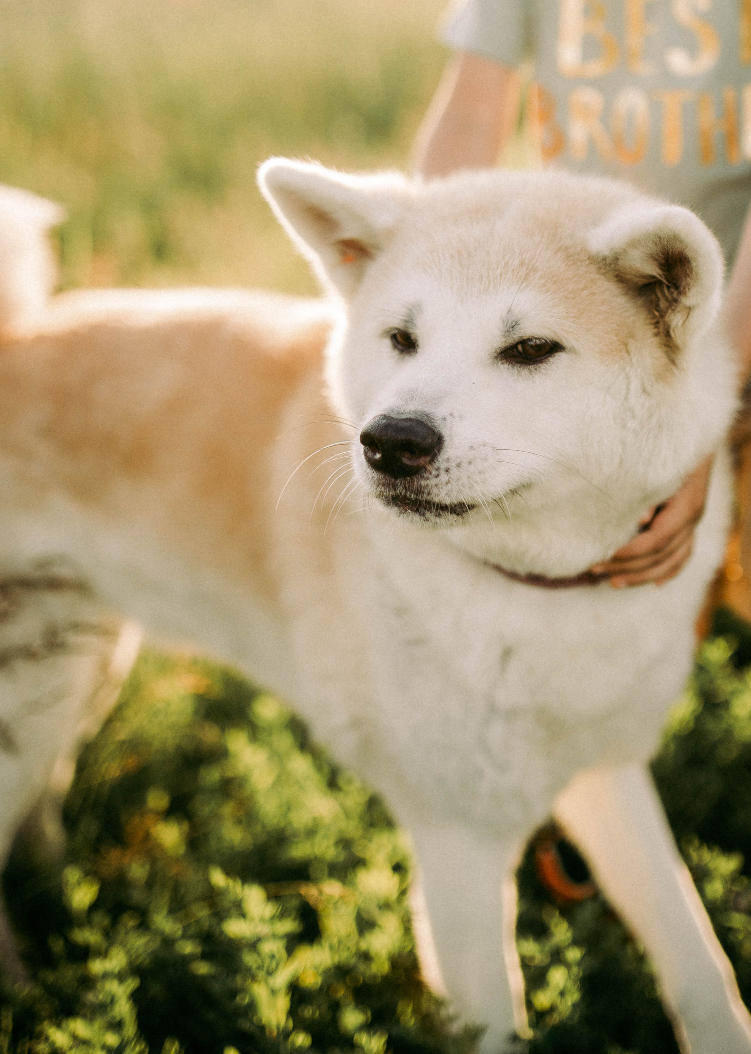 Алина с семьей. Семейный и детский фотограф в Рязани Екатерина Воронцова