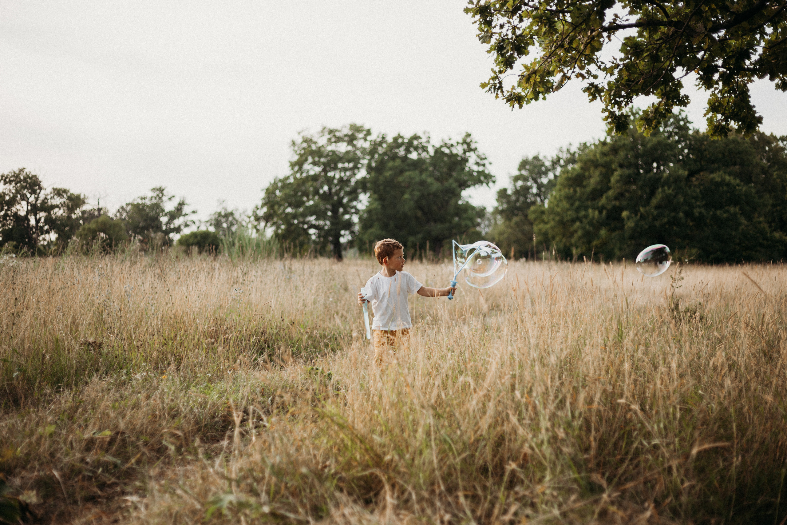 Катя с семьей в Дубках. Семейный и детский фотограф в Рязани Екатерина Воронцова