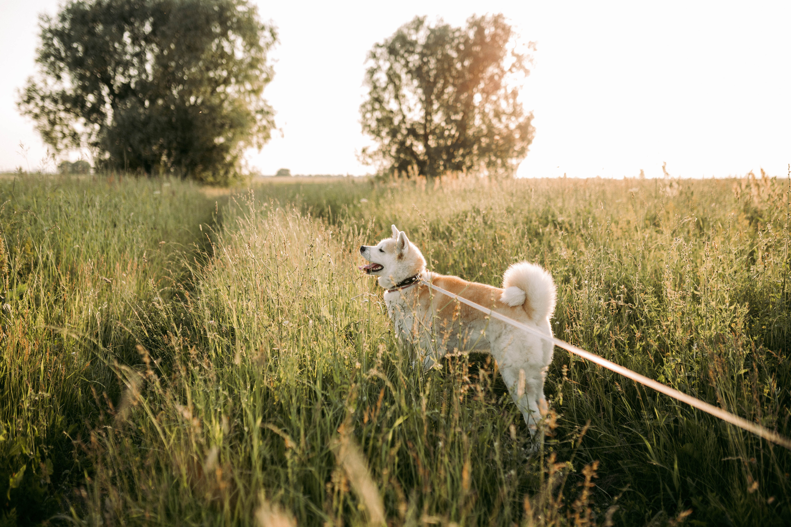 Алина с семьей. Семейный и детский фотограф в Рязани Екатерина Воронцова