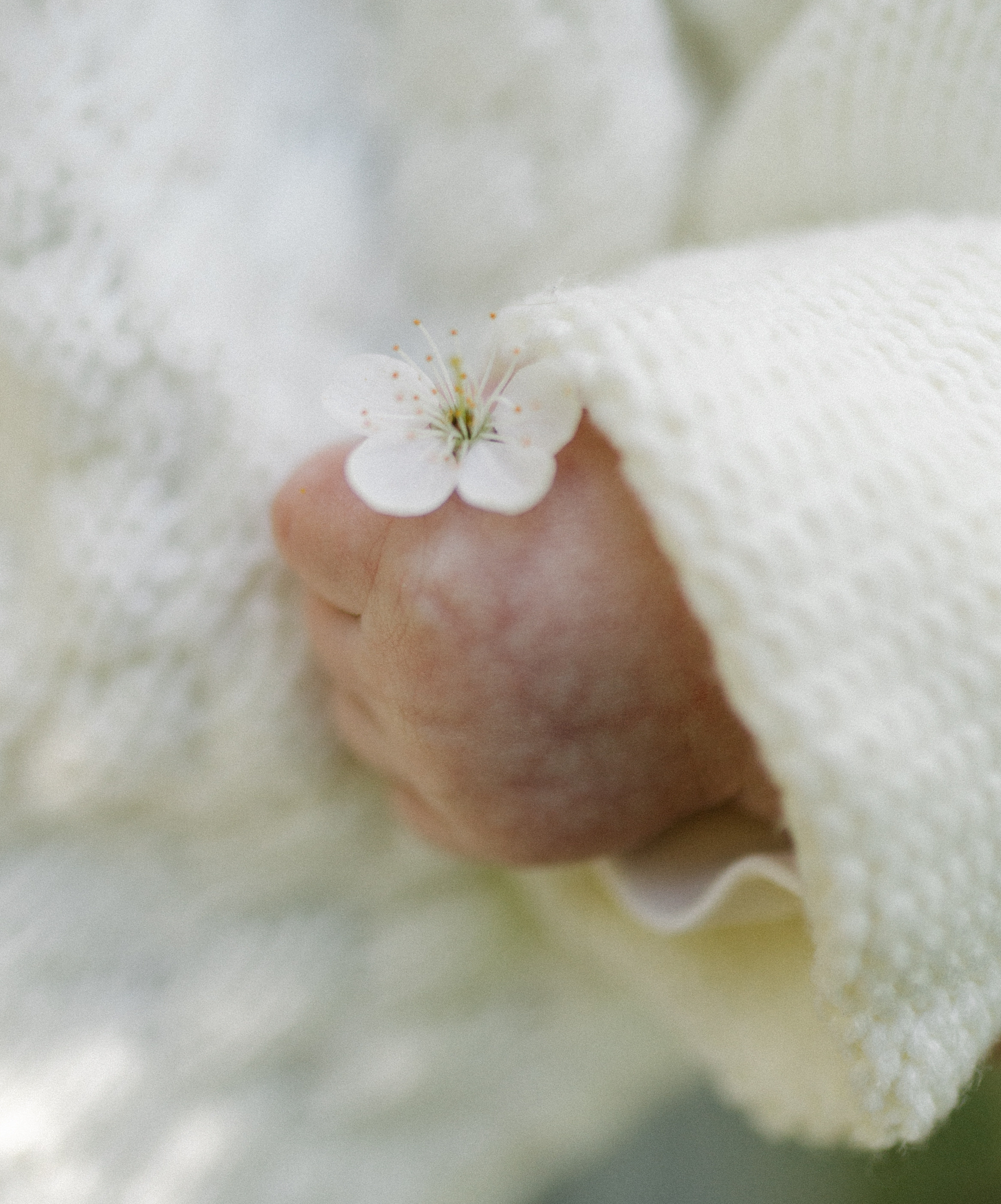 Света, Дима, Саша. Семейный и детский фотограф в Рязани Екатерина Воронцова