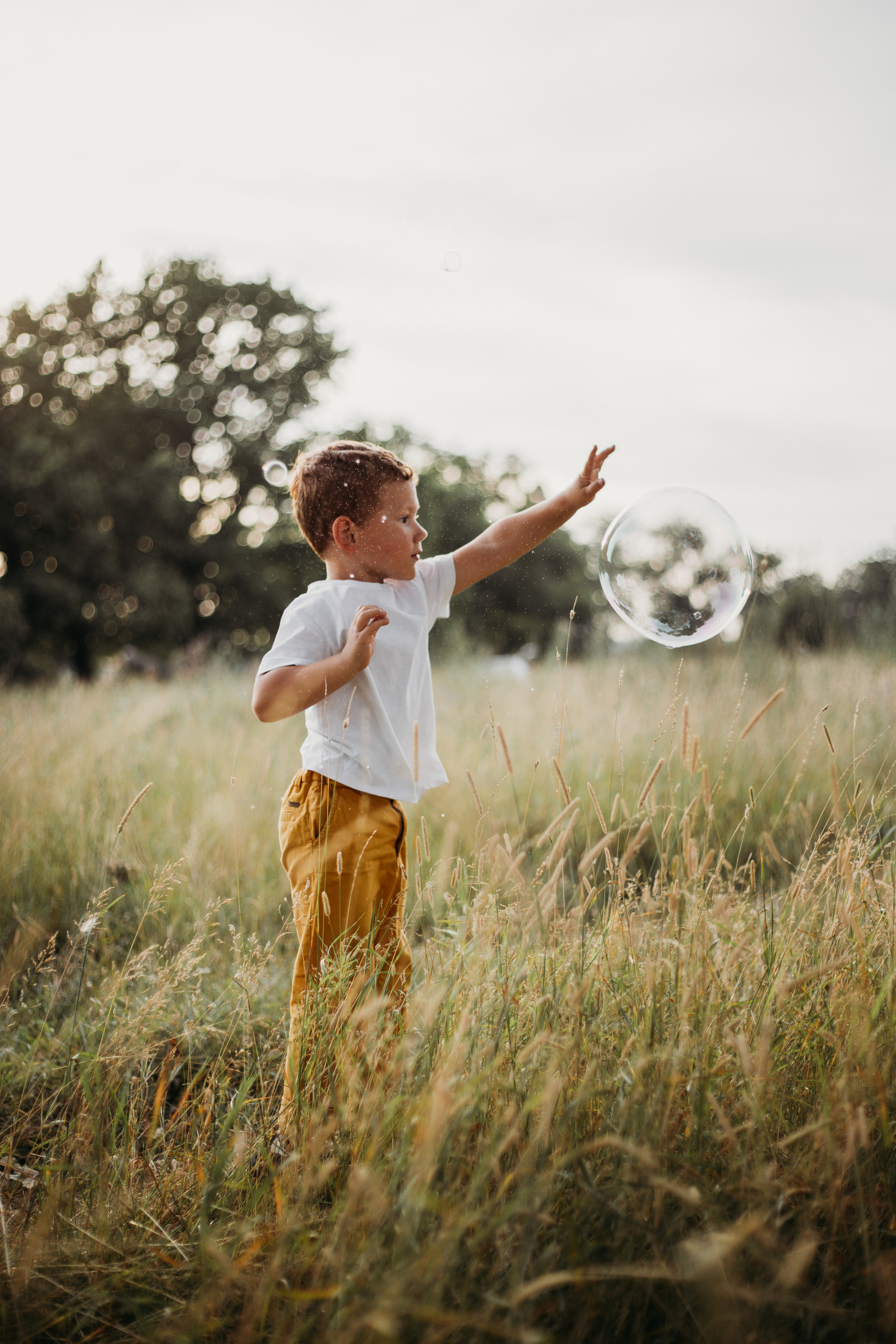 Катя с семьей в Дубках. Семейный и детский фотограф в Рязани Екатерина Воронцова