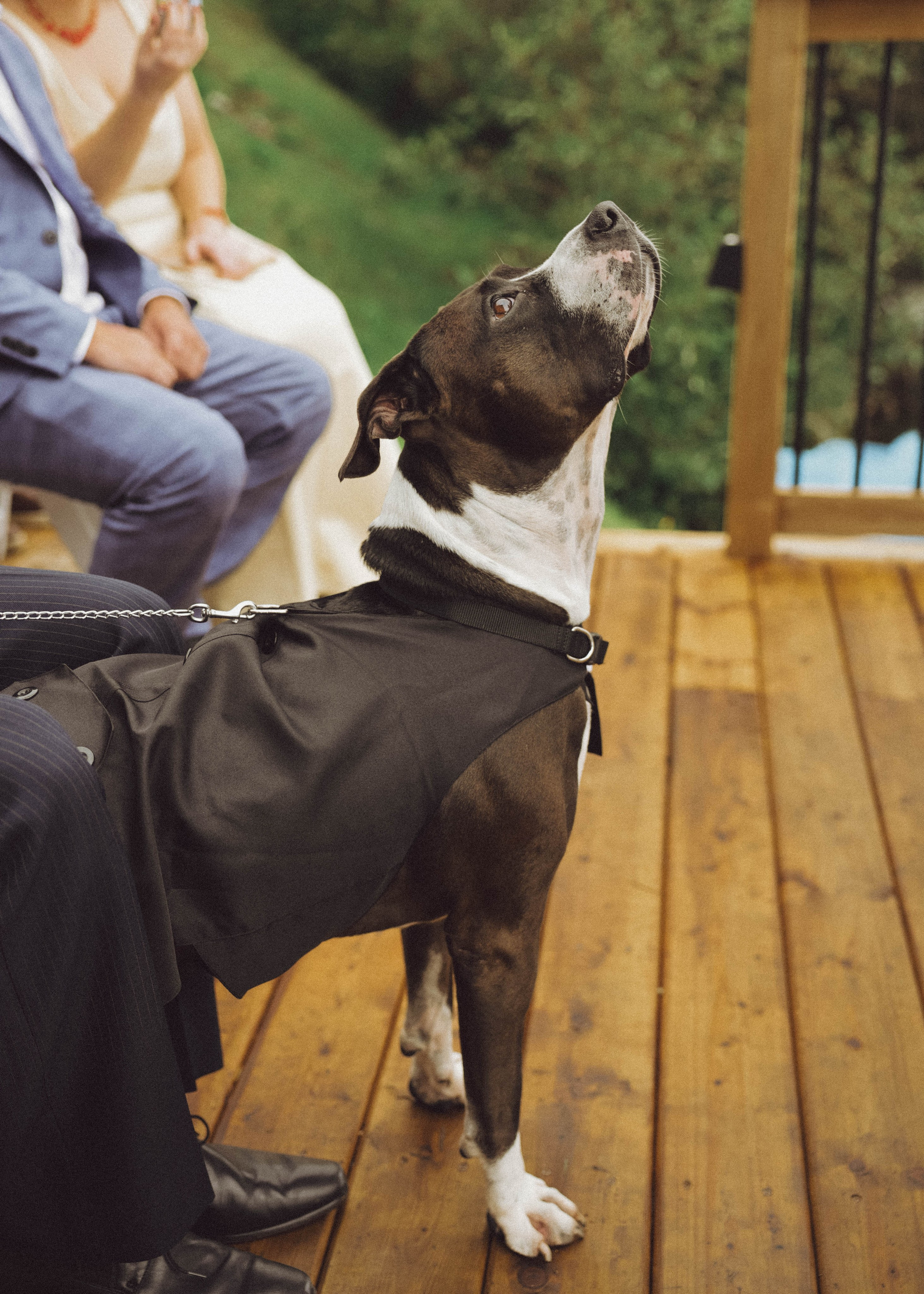 Weddings. Halifax Photographer — Kristina Konstantinidi