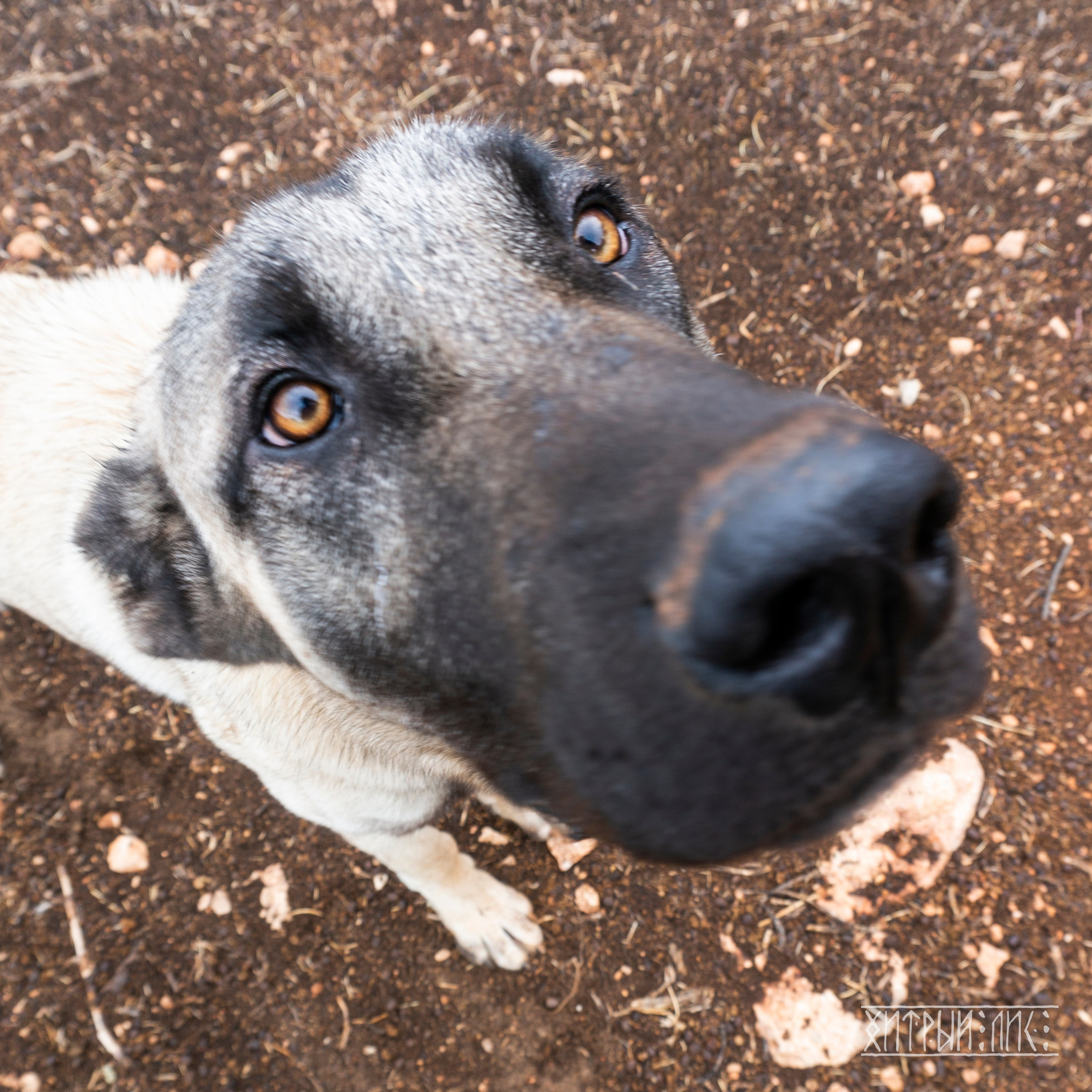 Турция. Ликийский путь. Фотограф-путешественник Самойлов Максим «Sly Fox»