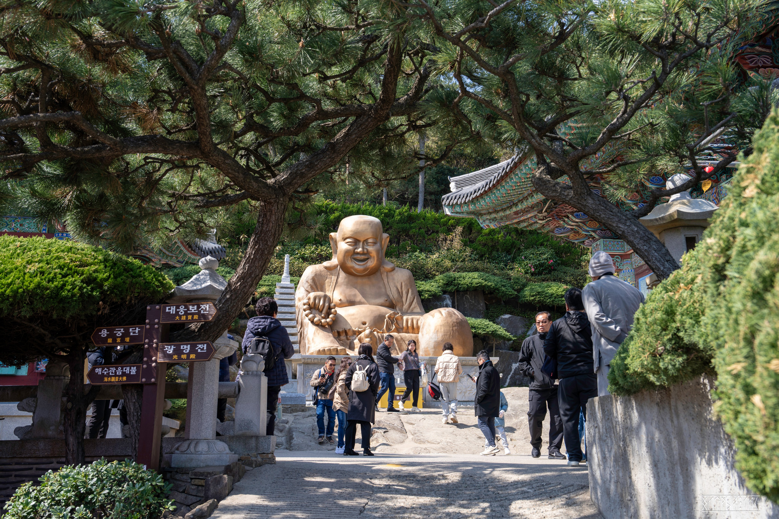 Южная Корея. Фотограф-путешественник Самойлов Максим «Sly Fox»