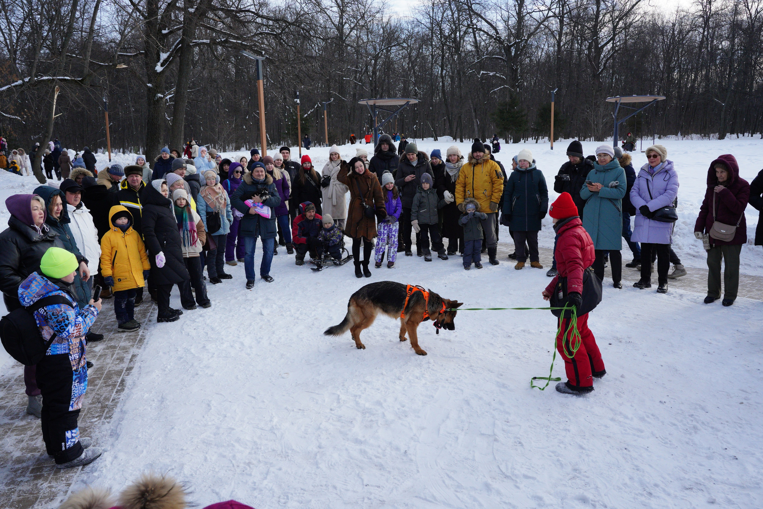 Благотворительная Акция «Ищу Человека». Pupov.png