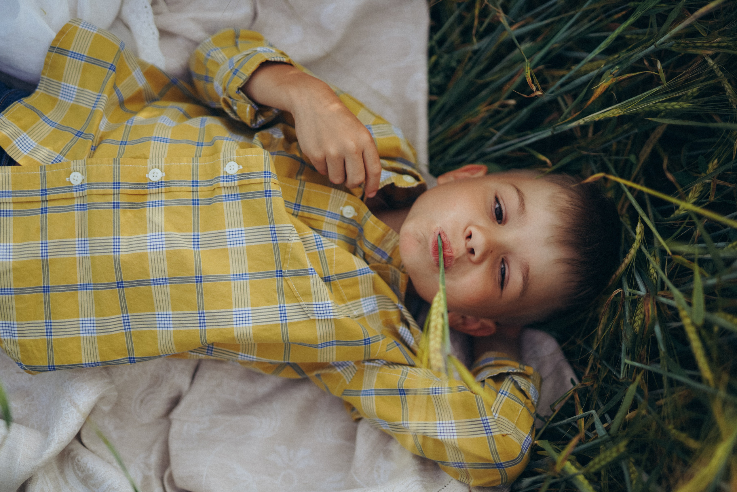 Пшеничное поле. Семейный и женский фотограф в Санкт-Петербурге Татьяна Стружкина